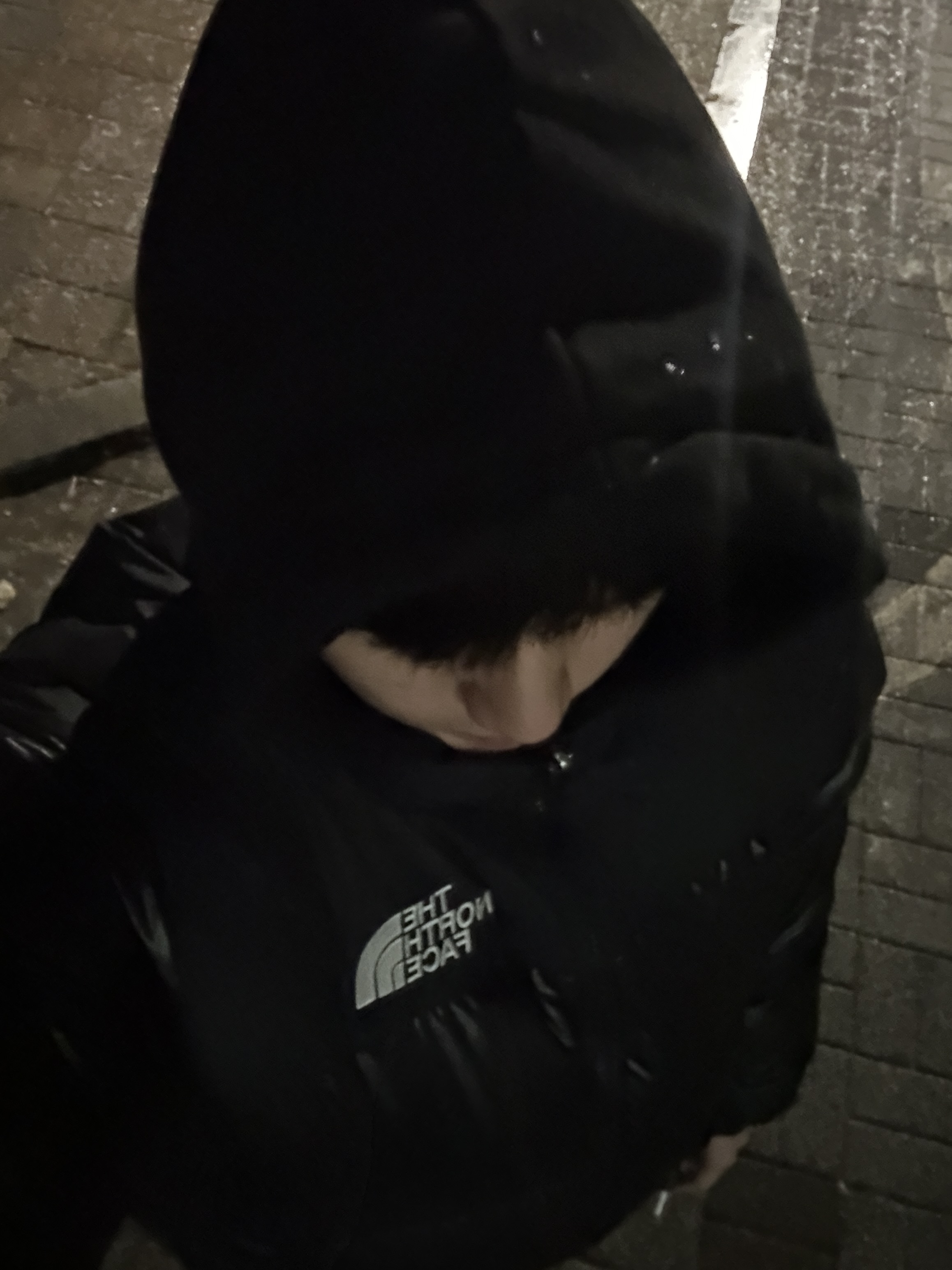 The North Face 1996 Eco Nuptse Jacket Real Black 착용 스타일