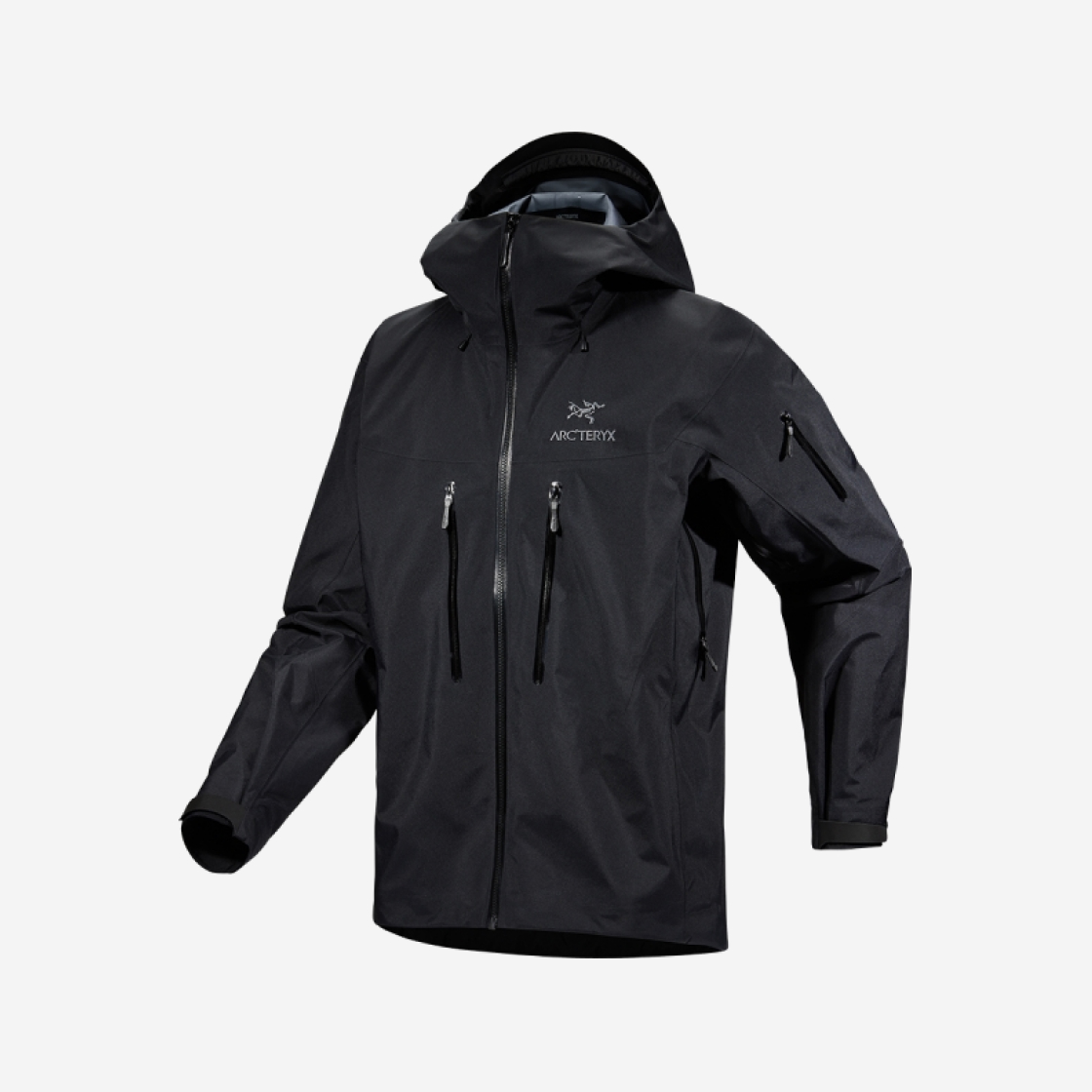 激レア 金刺繍 Arc'teryx Canada Made Alpha SV M（激レア 98金