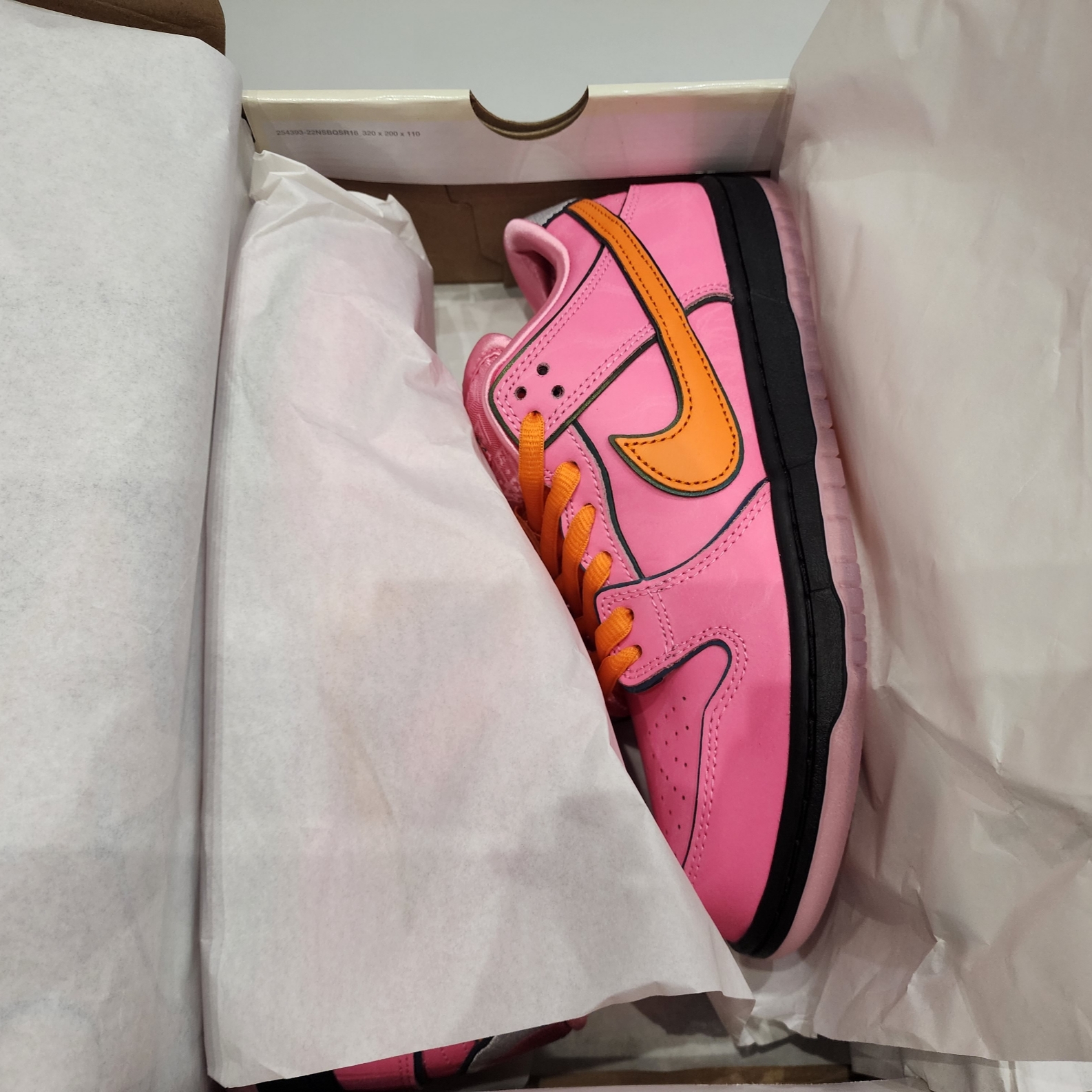 Nike x The Powerpuff Girls SB Dunk Low Pro QS Blossom 착용 스타일 - 2
