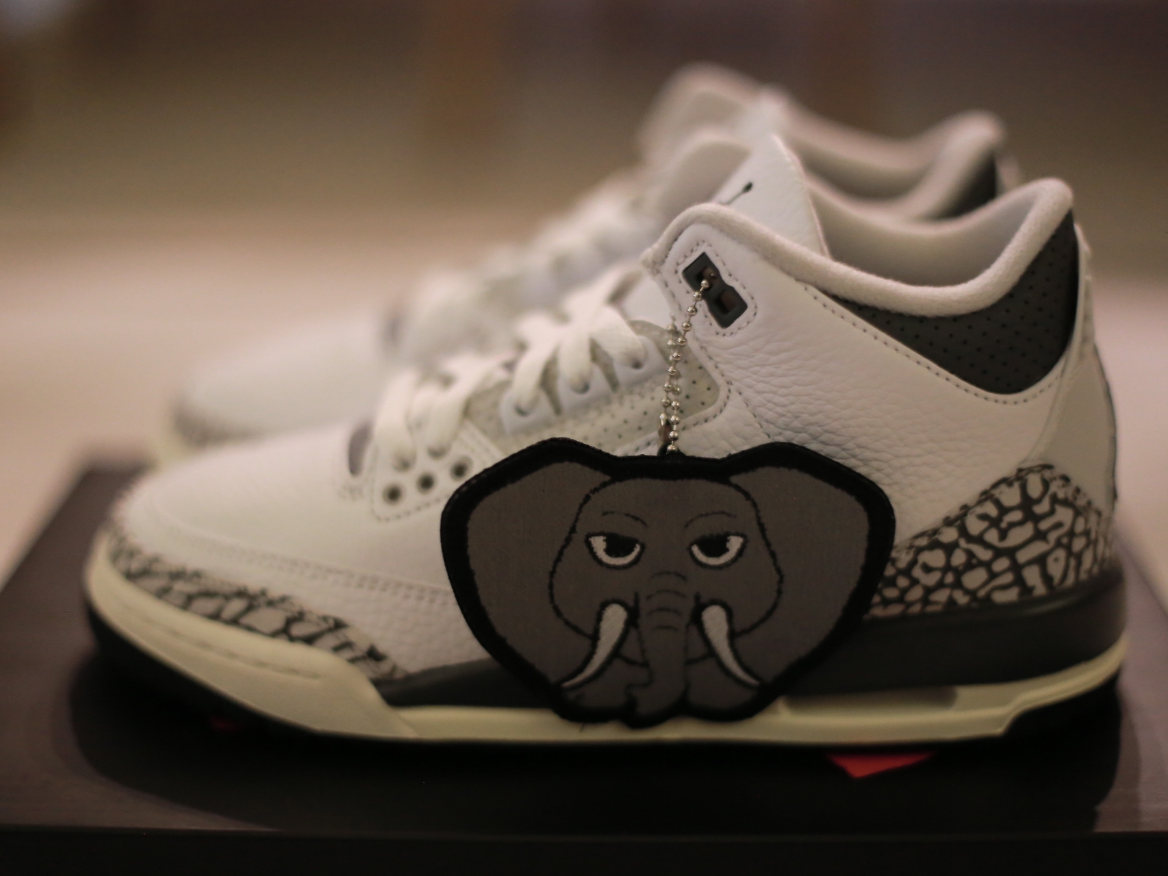 (GS) Jordan 3 Retro Animal Icon 착용 스타일 - 1