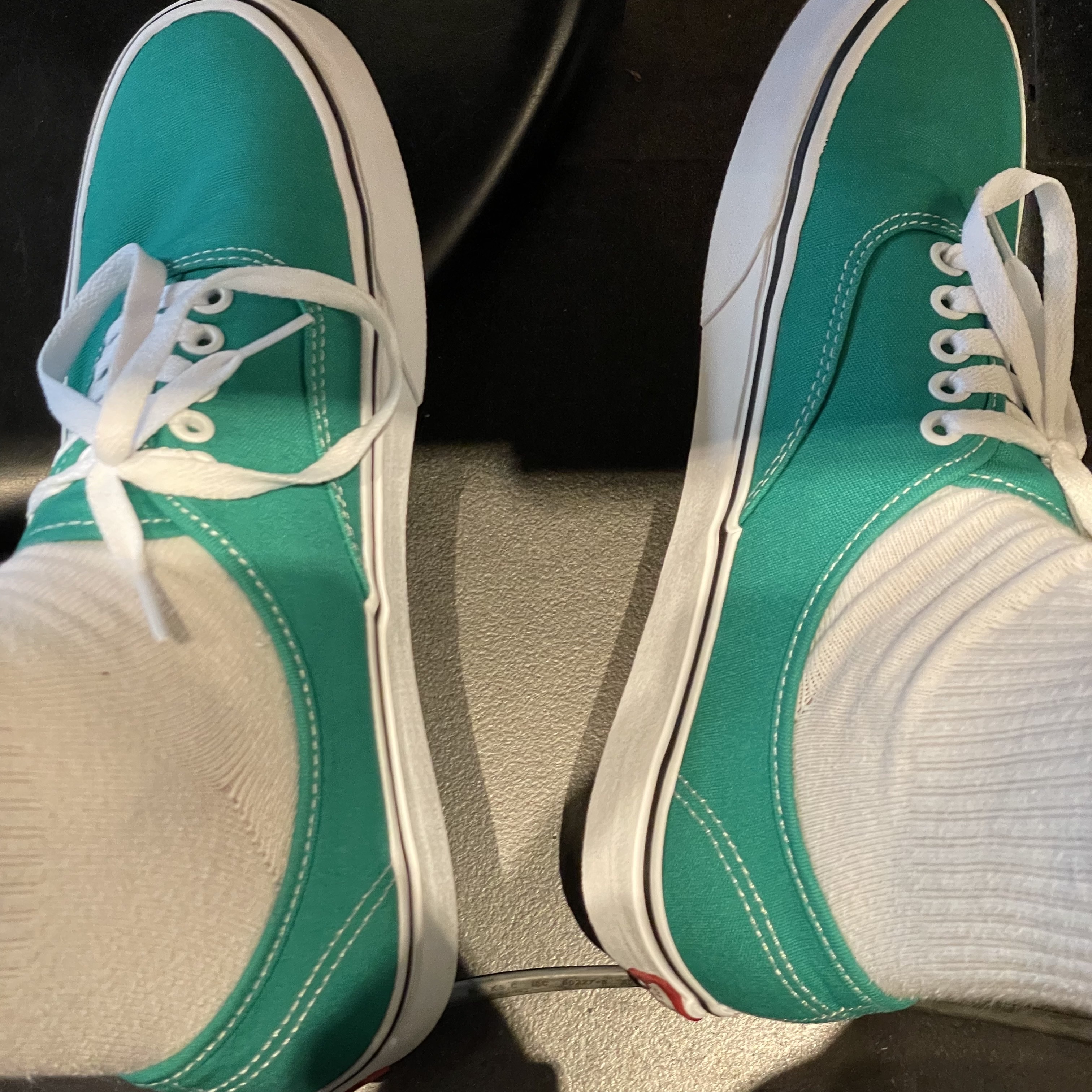 Vans Authentic 44 DX Anaheim Factory Emerald Green 착용 스타일