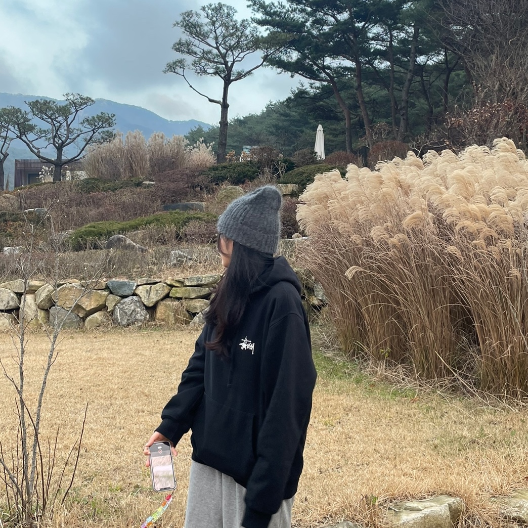 Stussy Basic Stussy Hoodie Black 2022 착용 스타일