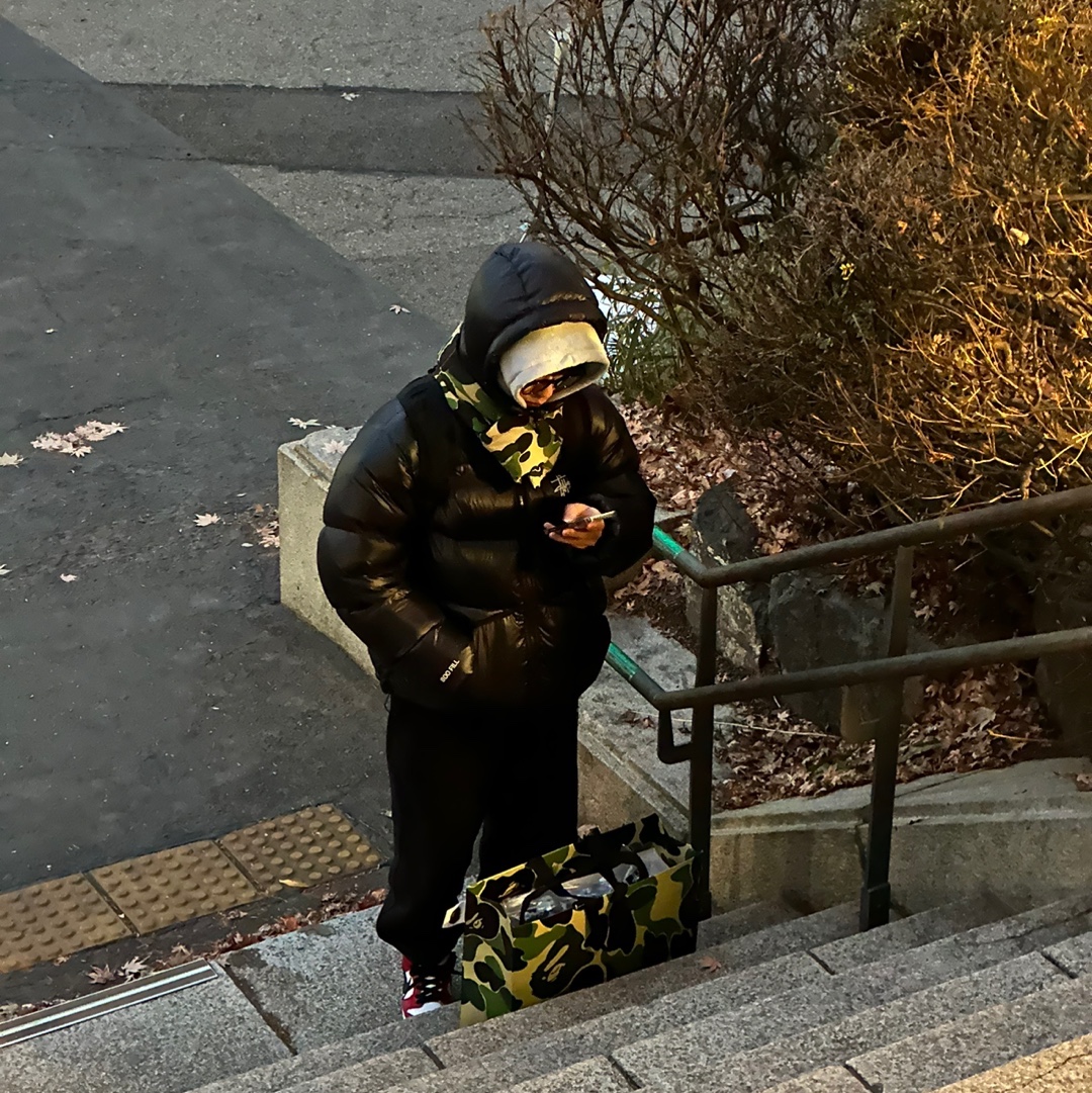 Stussy Micro Ripstop Down Parka Black, BAPE ABC Camo Pocket Fleece Scarf M Green 착용 스타일 - 2