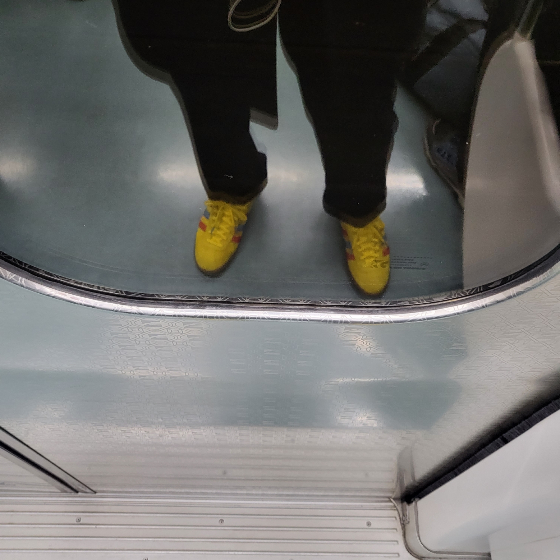 Adidas x END. Bermuda Team Yellow 착용 스타일