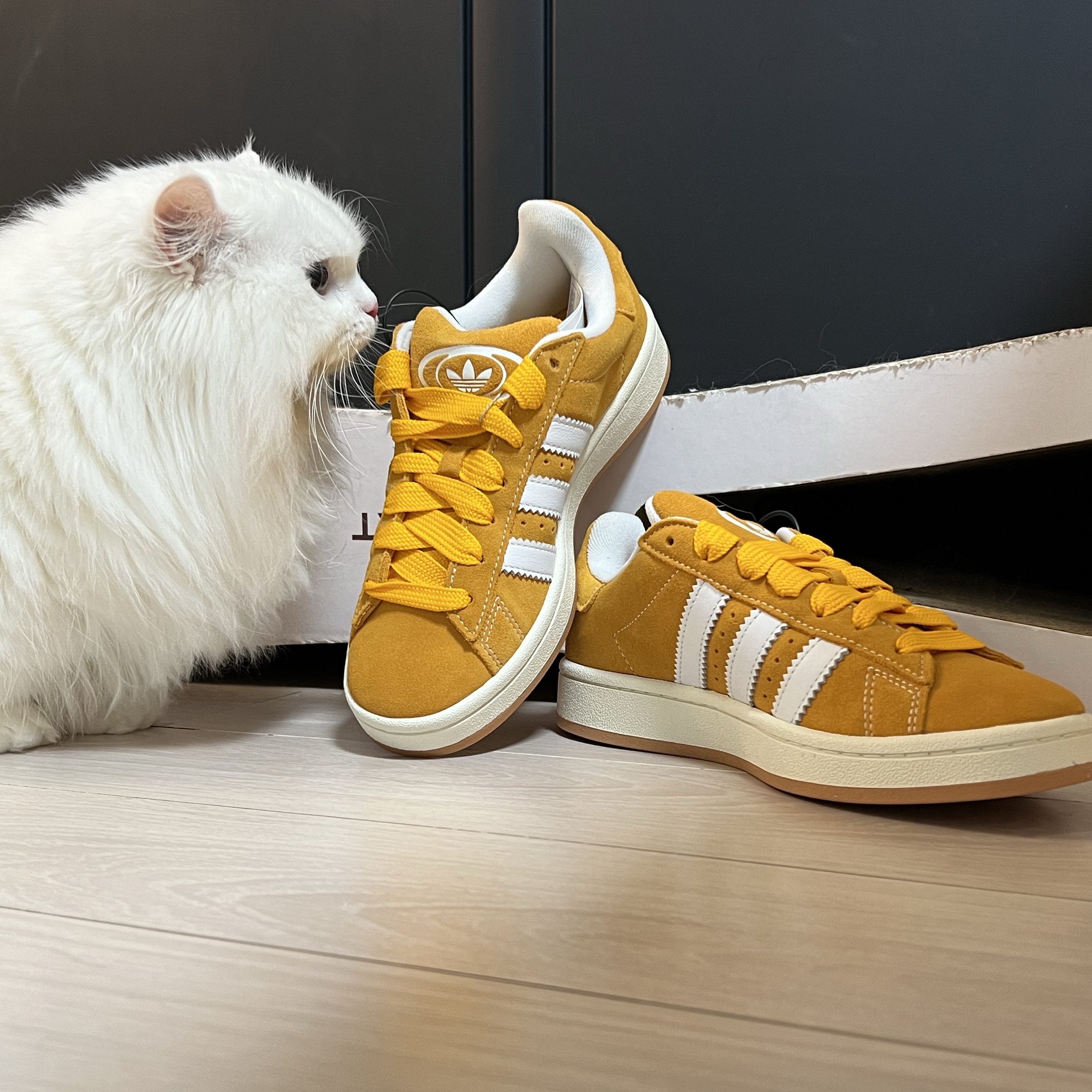 Adidas Campus 00s Pantone White 착용 스타일 - 3