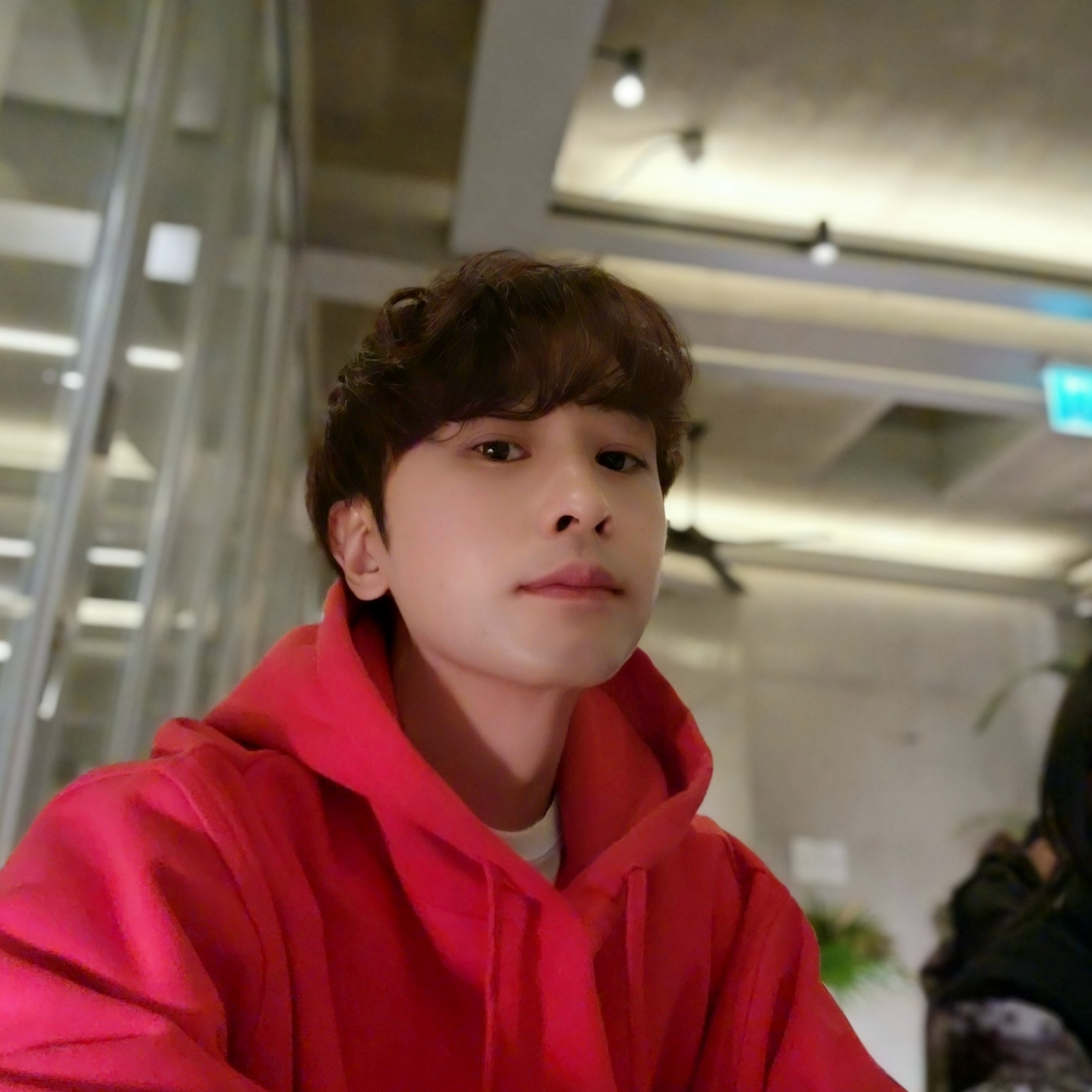 The North Face White Label Novelty Nuptse Down Jacket P Yellow, Stussy Beach Roots Hoodie Red 착용 스타일 - 7