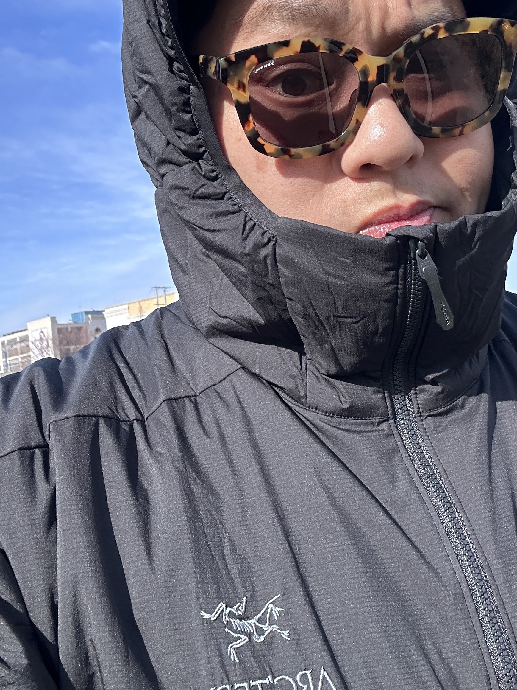 Arc'teryx Atom LT Hoody Black 착용 스타일