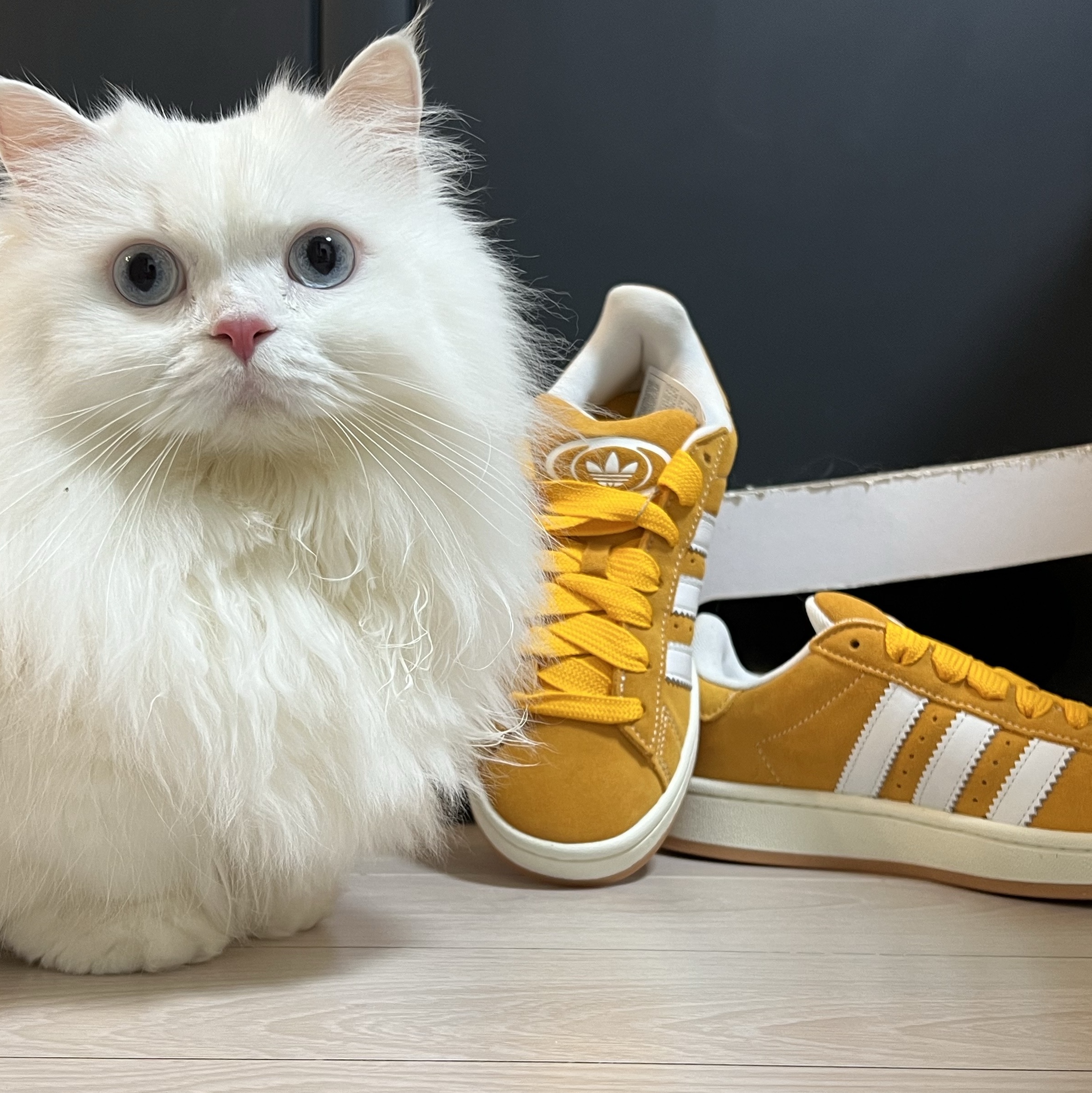 Adidas Campus 00s Pantone White 착용 스타일 - 1