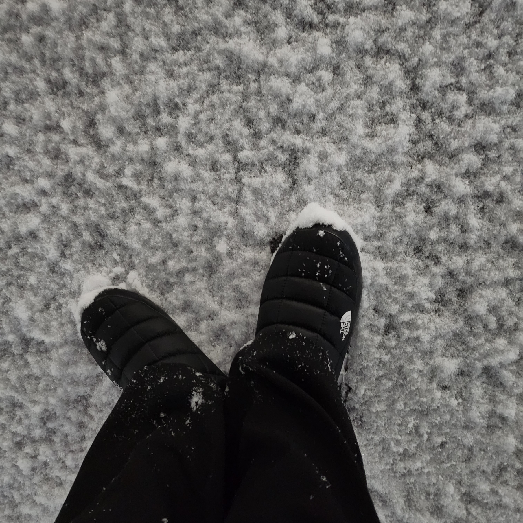 The North Face Thermoball Traction Mule V Black 착용 스타일
