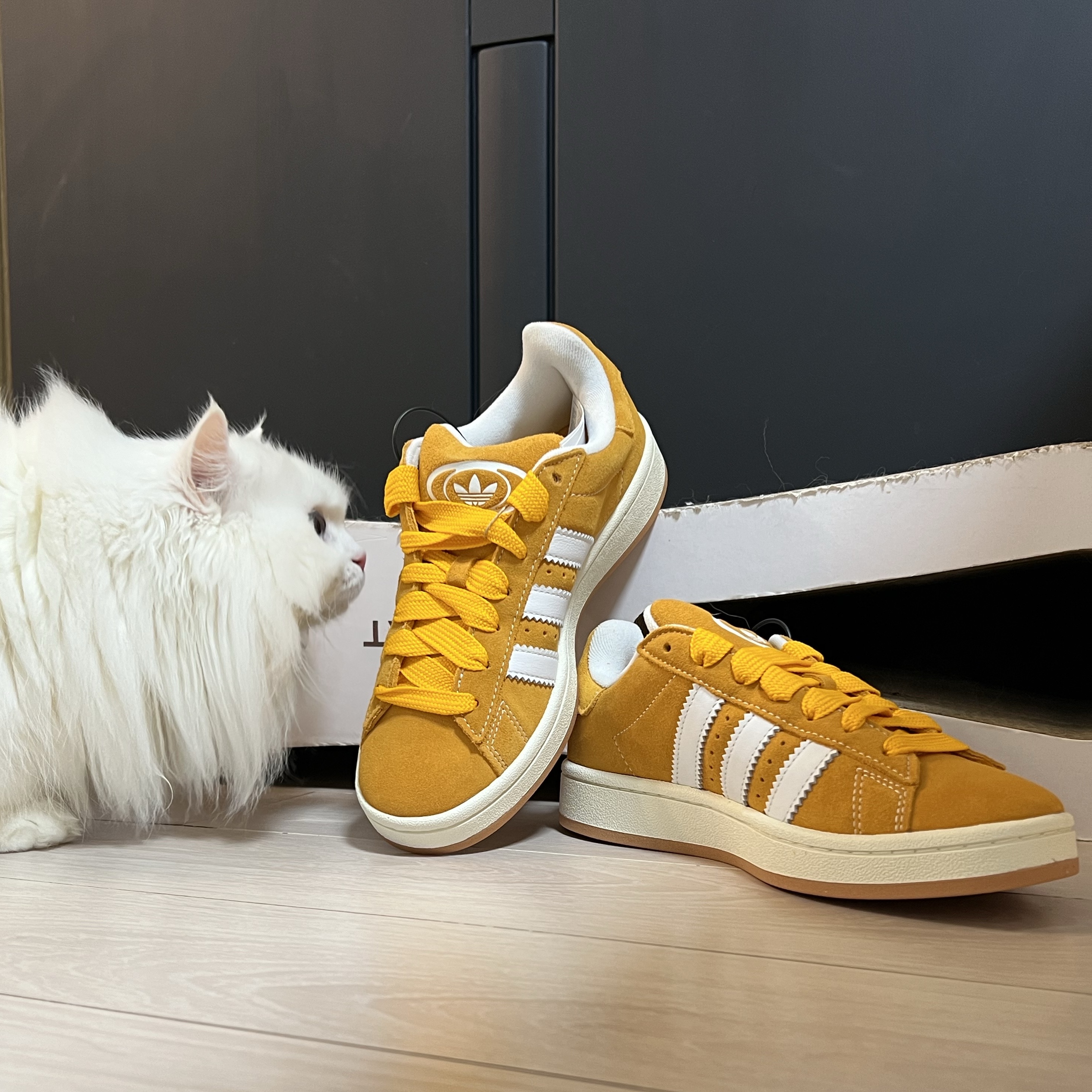 Adidas Campus 00s Pantone White 착용 스타일 - 5
