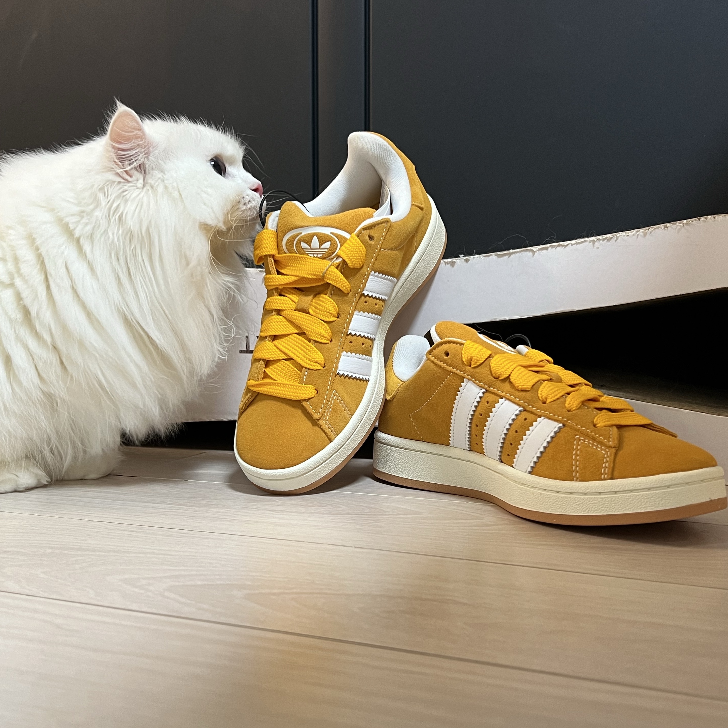 Adidas Campus 00s Pantone White 착용 스타일 - 4