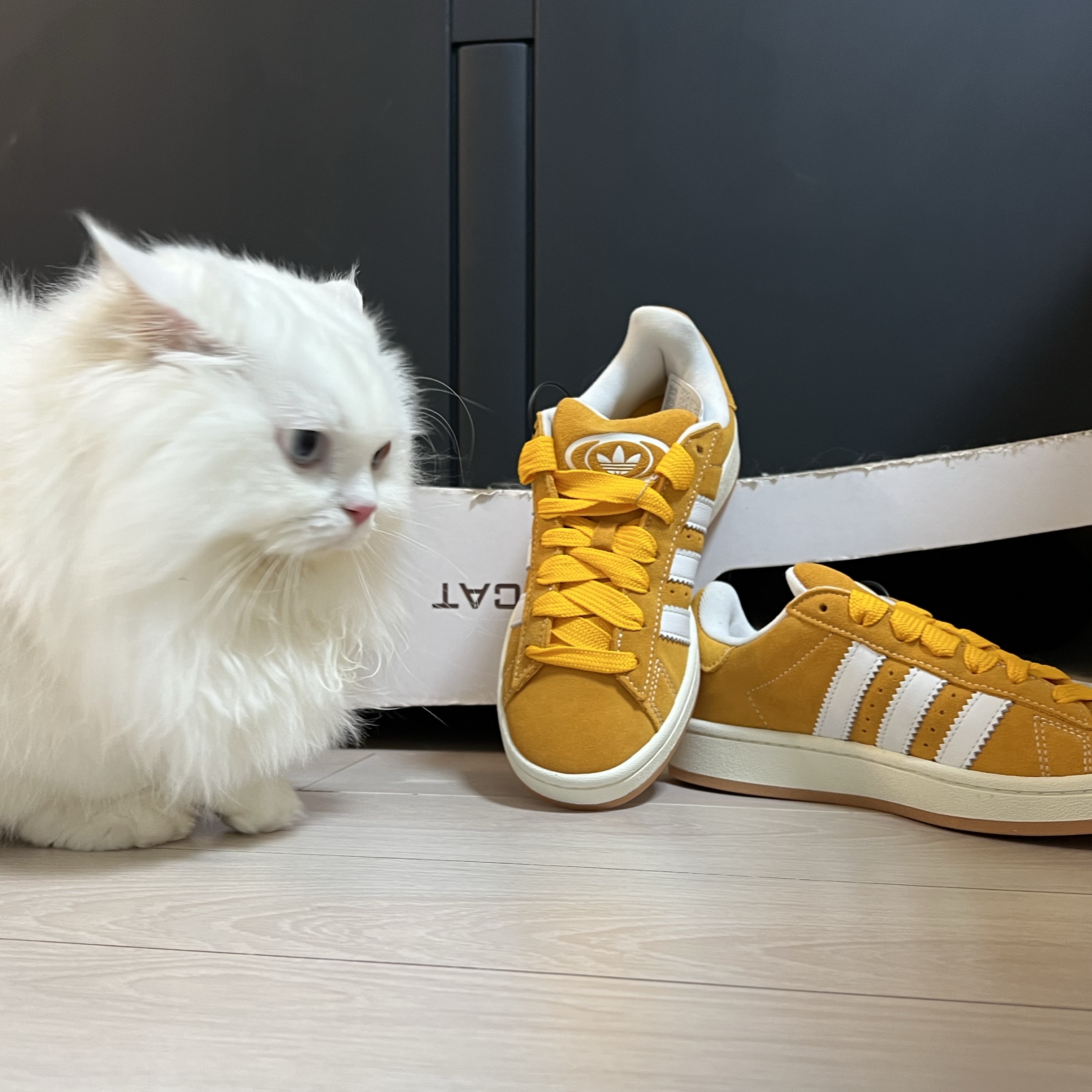 Adidas Campus 00s Pantone White 착용 스타일 - 2