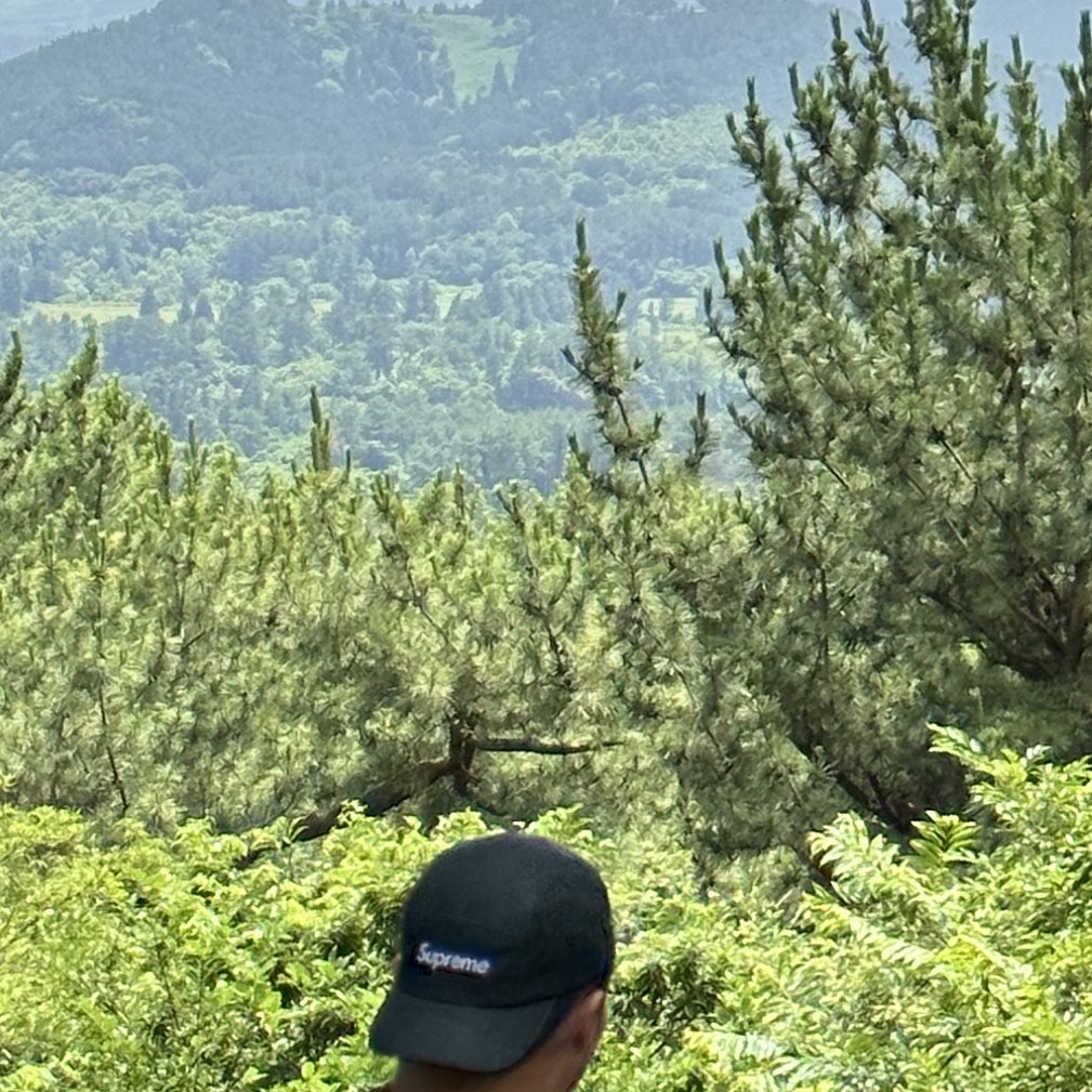 Supreme Coated Cordura Camp Cap Teal - 22SS 착용 스타일