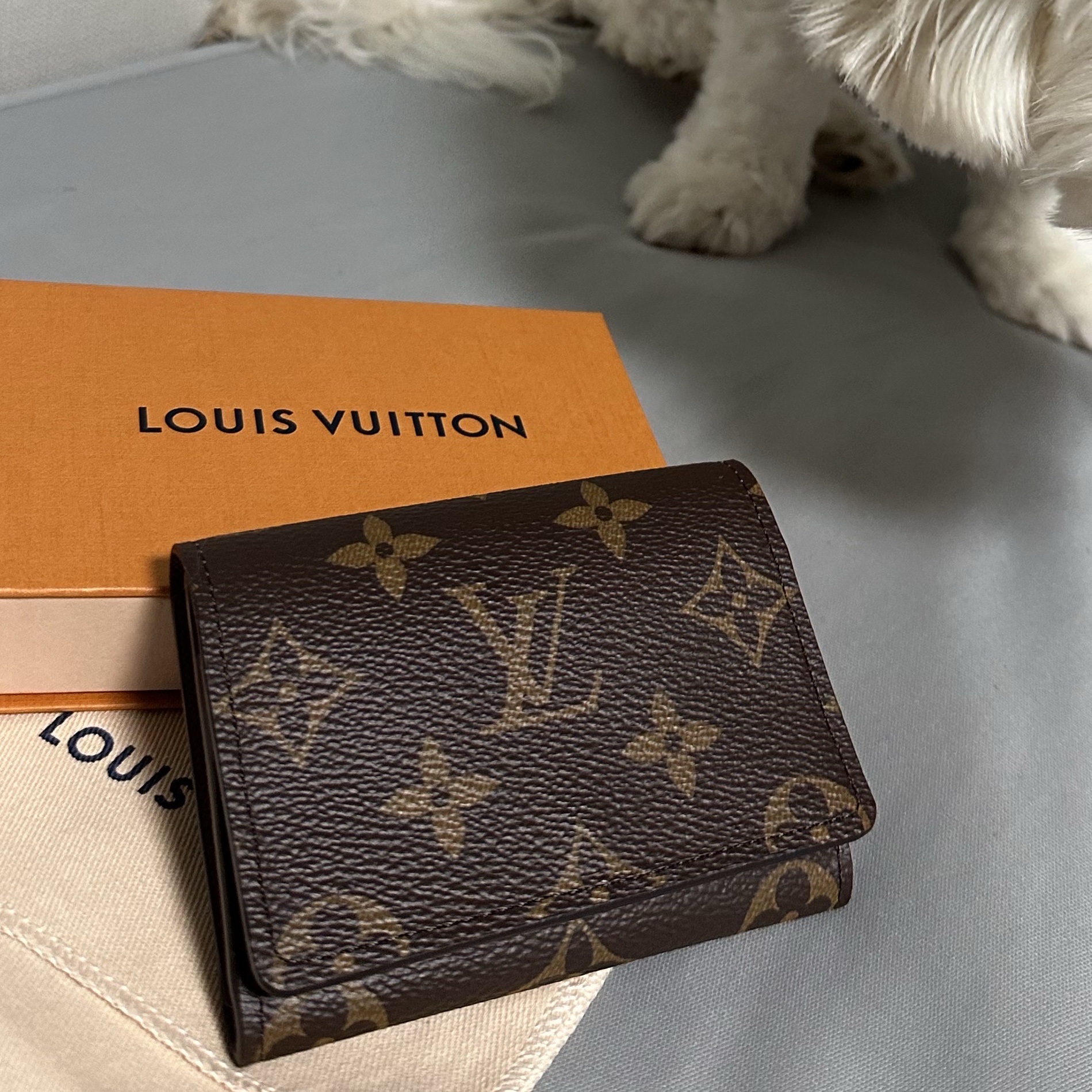 Louis Vuitton Envelope Business Card Holder Monogram 착용 스타일