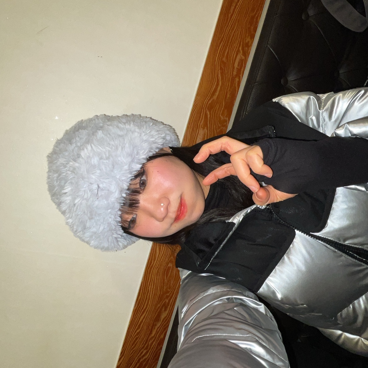 (W) The North Face White Label Novelty Nuptse Down Jacket SE Silver 착용 스타일 - 1