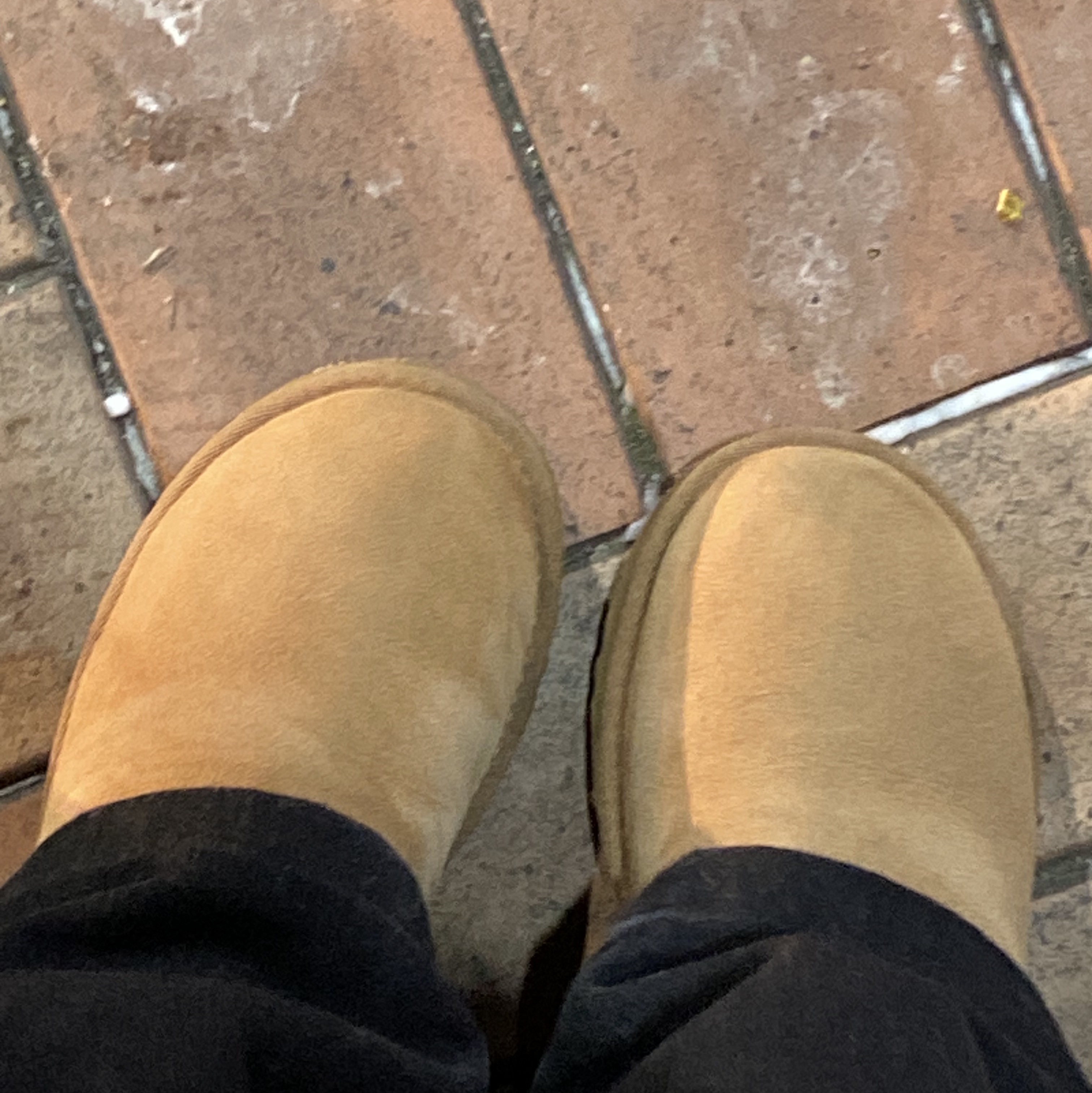 (W) UGG Classic Mini II Boots Chestnut 착용 스타일