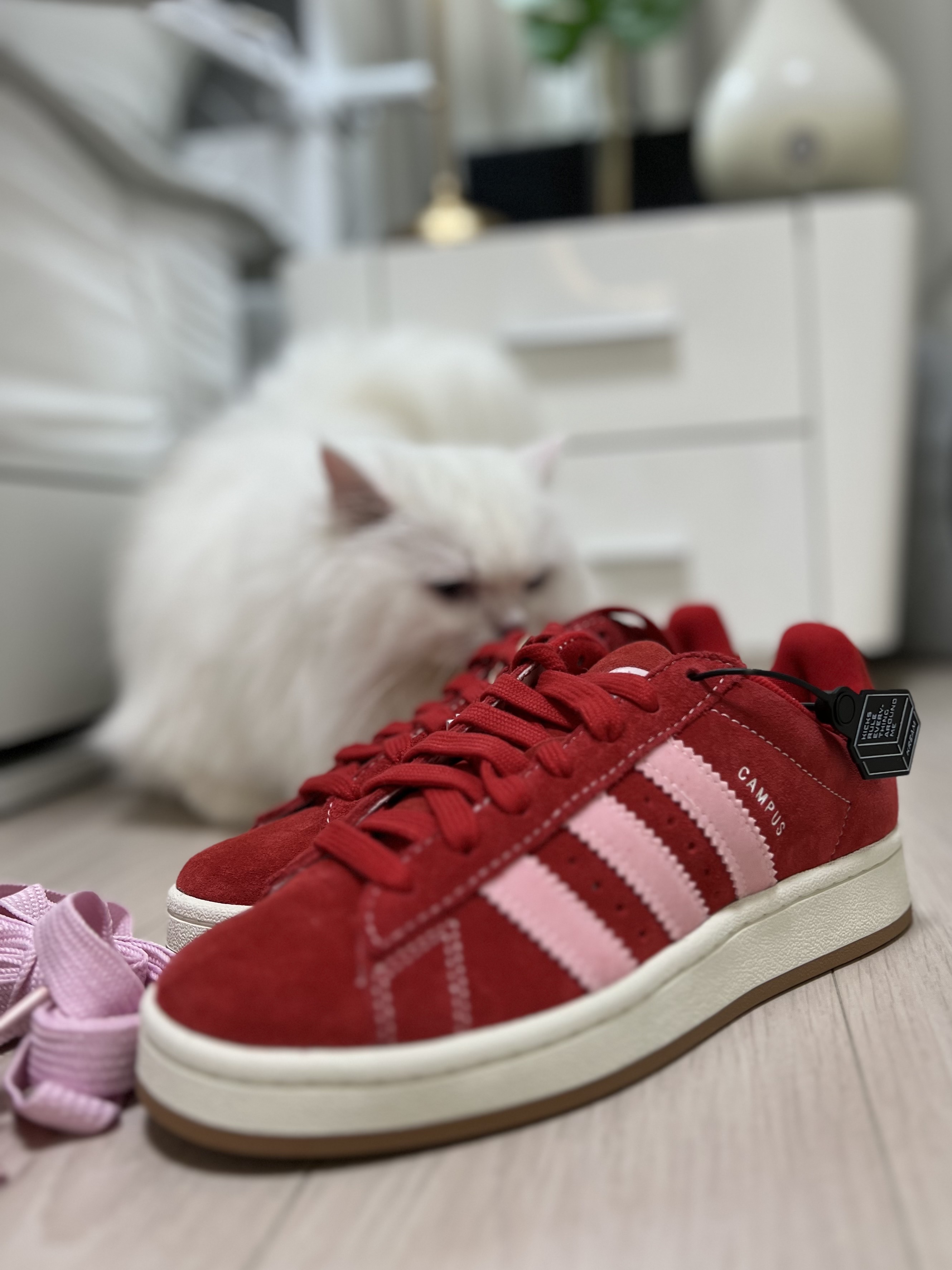 Adidas Campus 00s Better Scarlet 착용 스타일 - 1