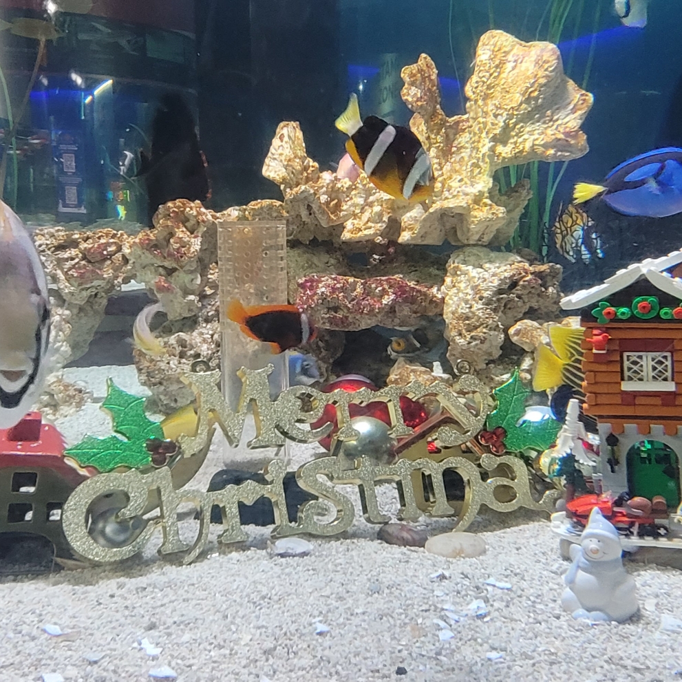 Lego Santa’s Workshop 착용 스타일 - 2