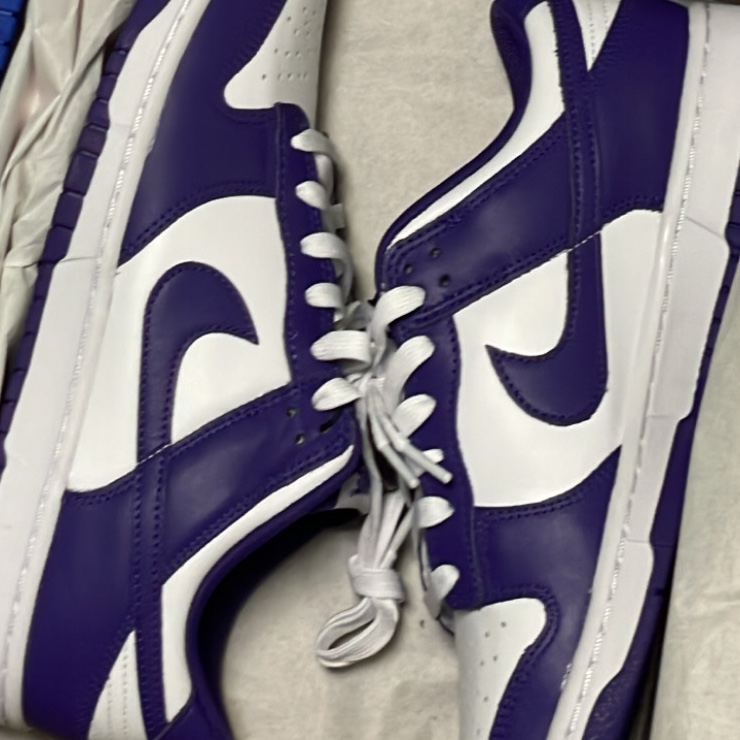 Nike Dunk Low Retro Championship Court Purple 착용 스타일