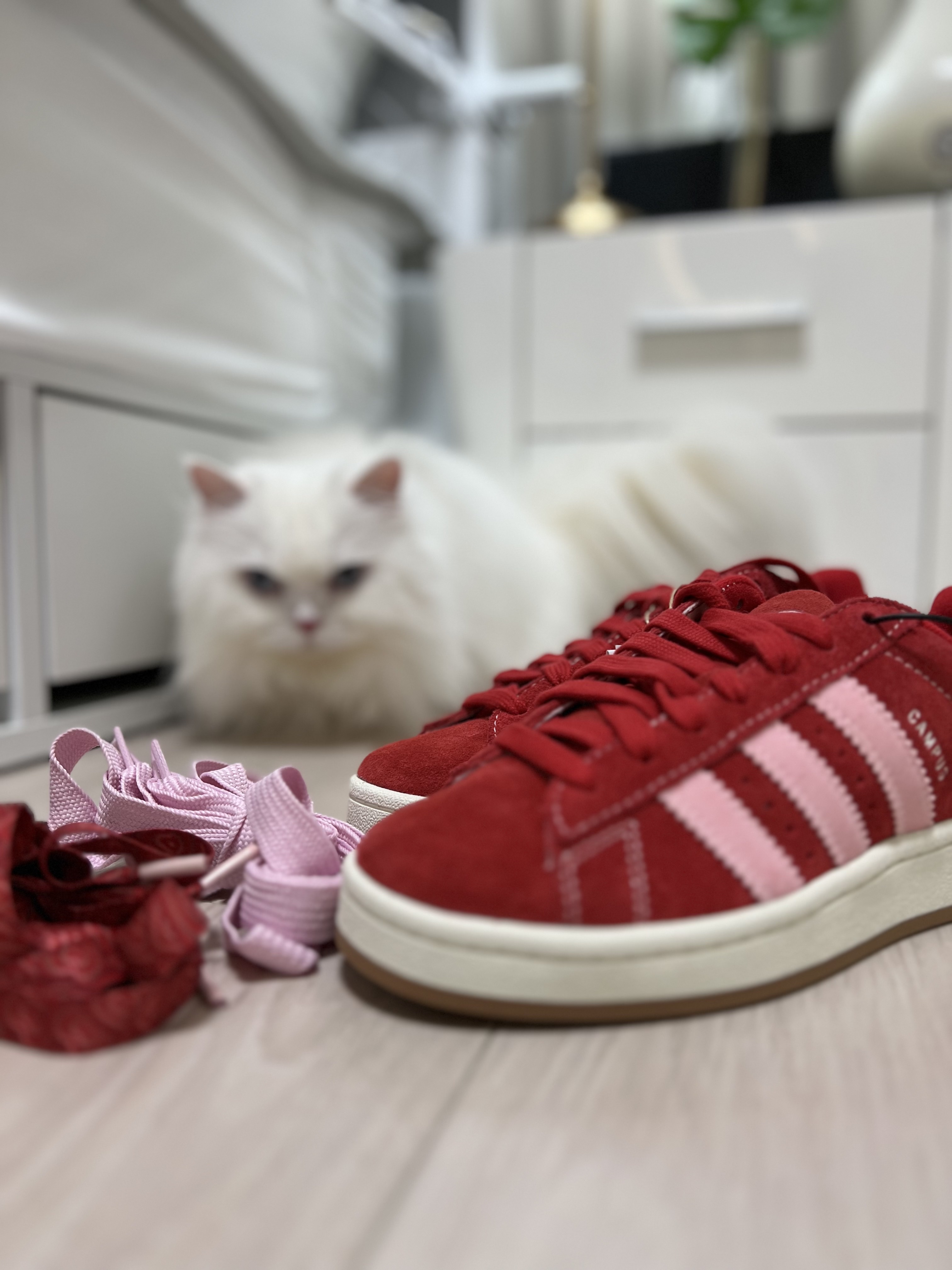 Adidas Campus 00s Better Scarlet 착용 스타일 - 2