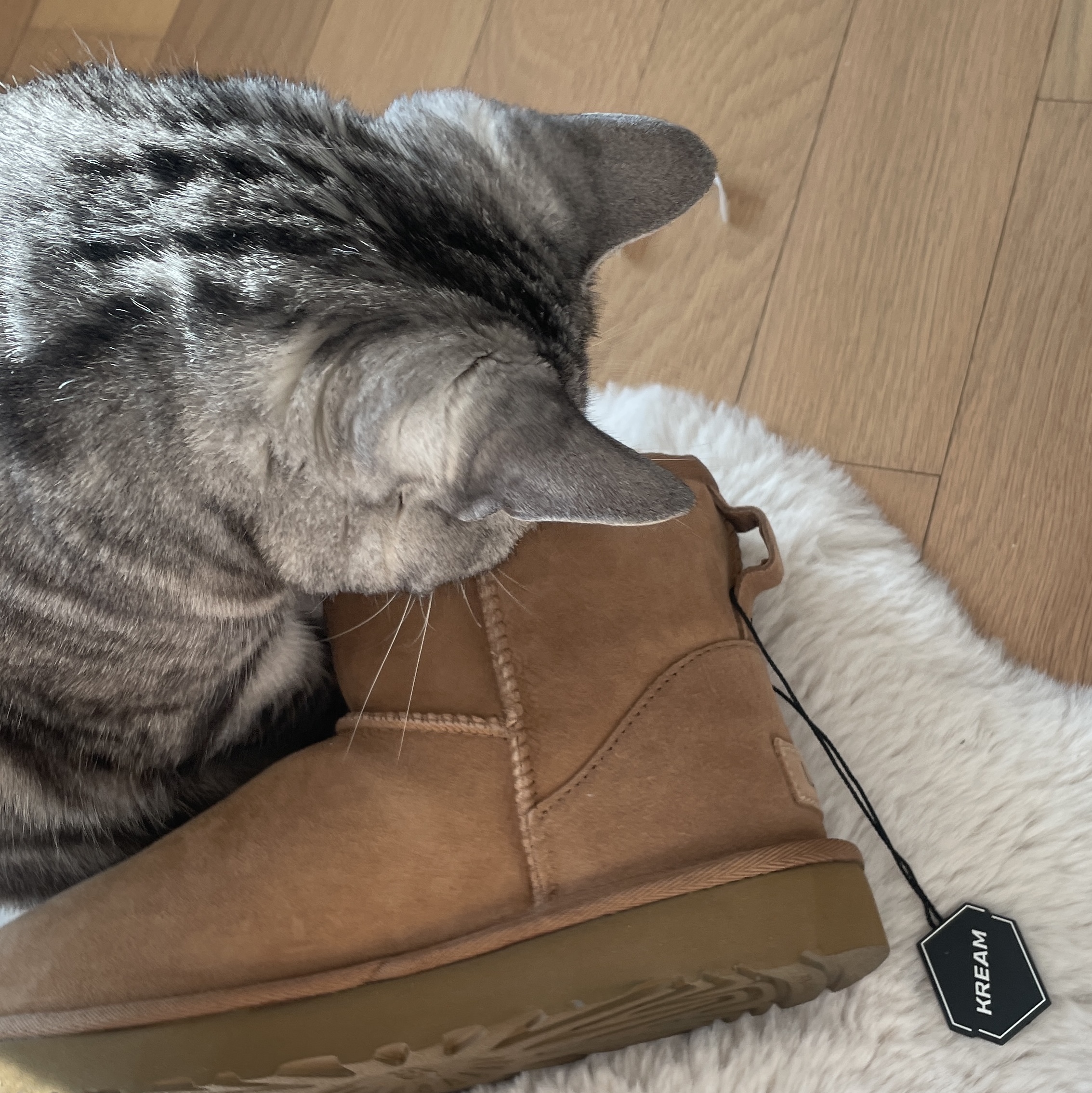 (W) UGG Classic Mini II Boots Chestnut, (W) UGG Classic Ultra Mini Boots Chestnut 착용 스타일 - 4