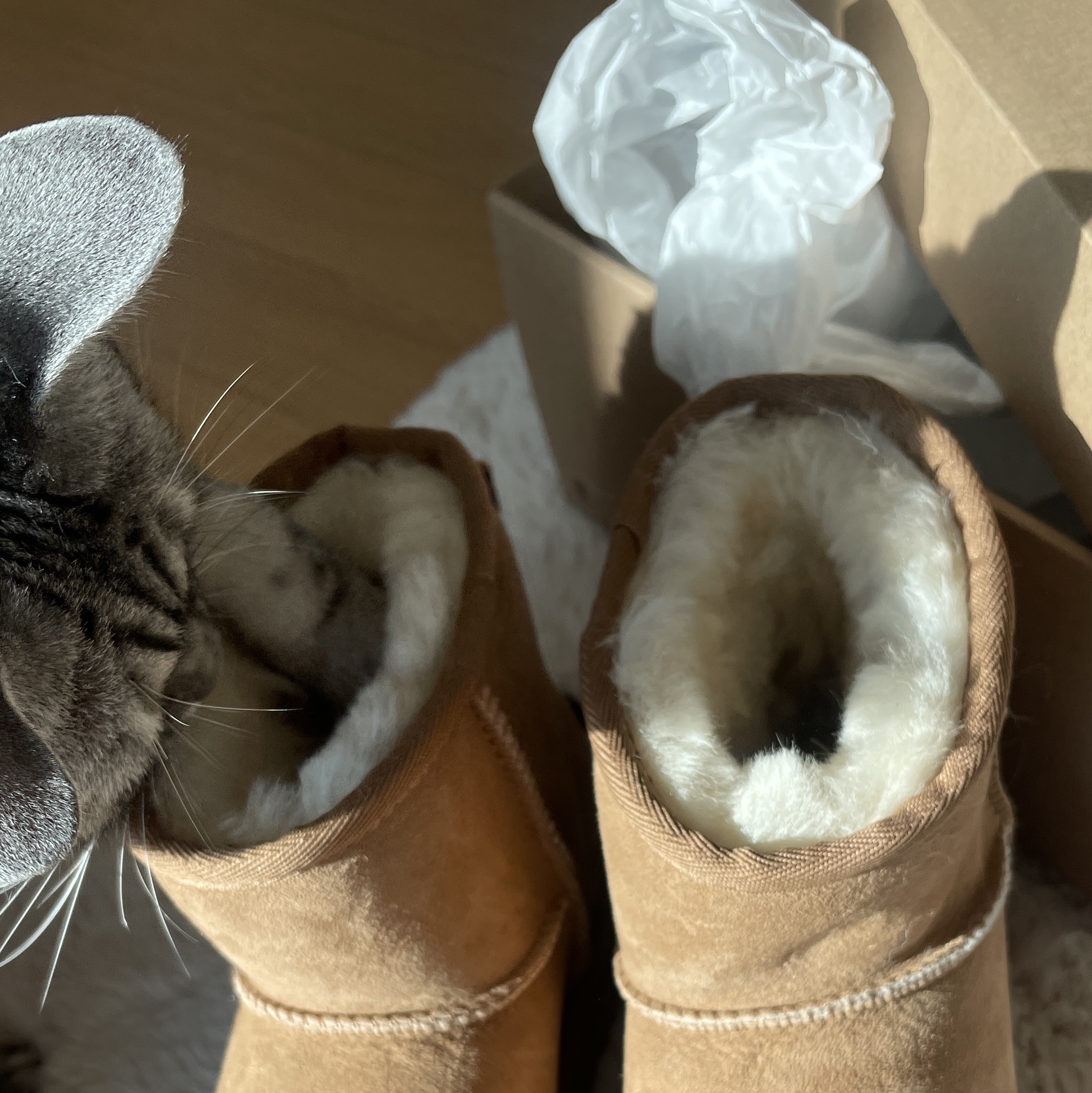 (W) UGG Classic Mini II Boots Chestnut, (W) UGG Classic Ultra Mini Boots Chestnut 착용 스타일 - 1