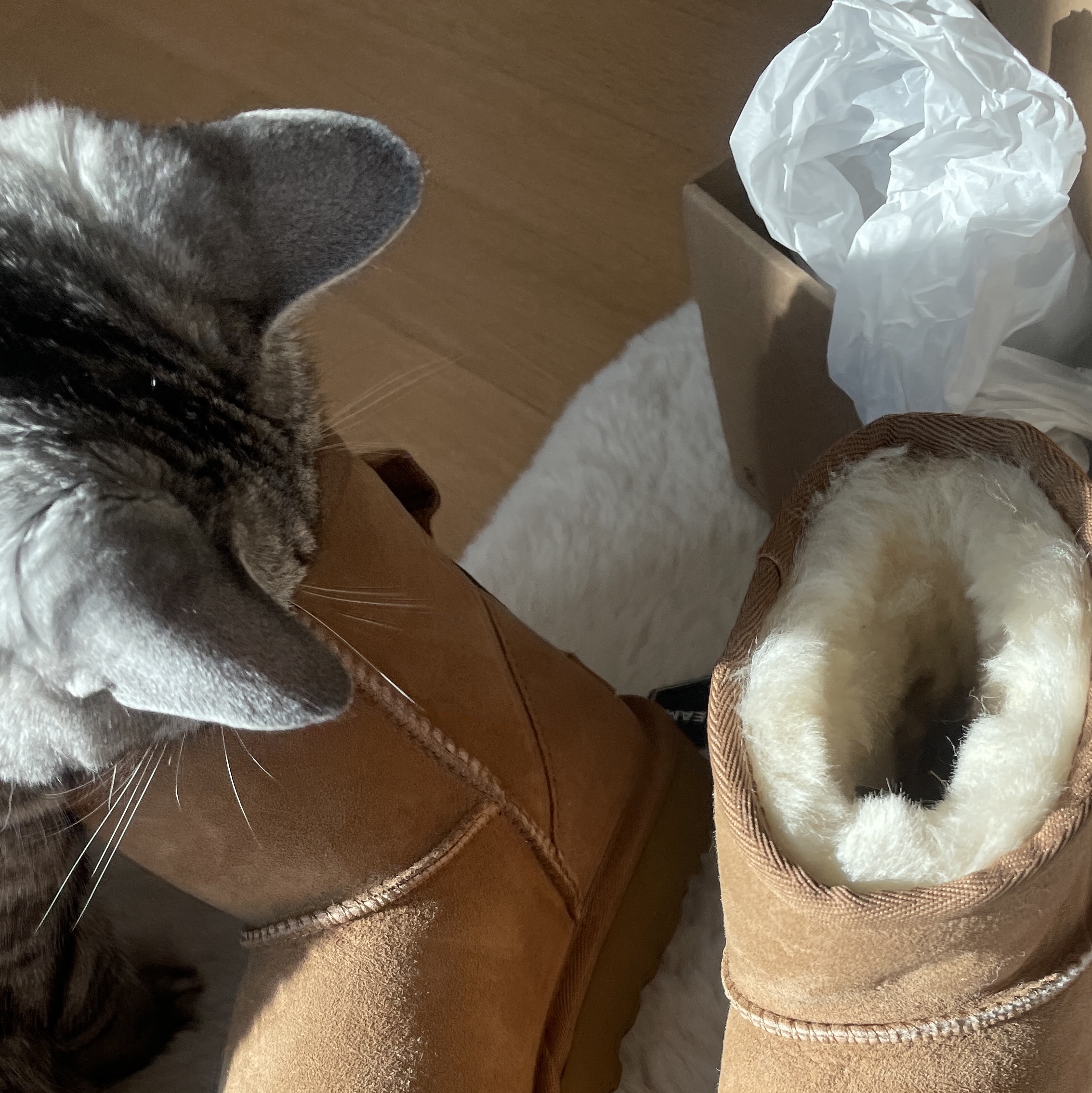 (W) UGG Classic Mini II Boots Chestnut, (W) UGG Classic Ultra Mini Boots Chestnut 착용 스타일 - 3