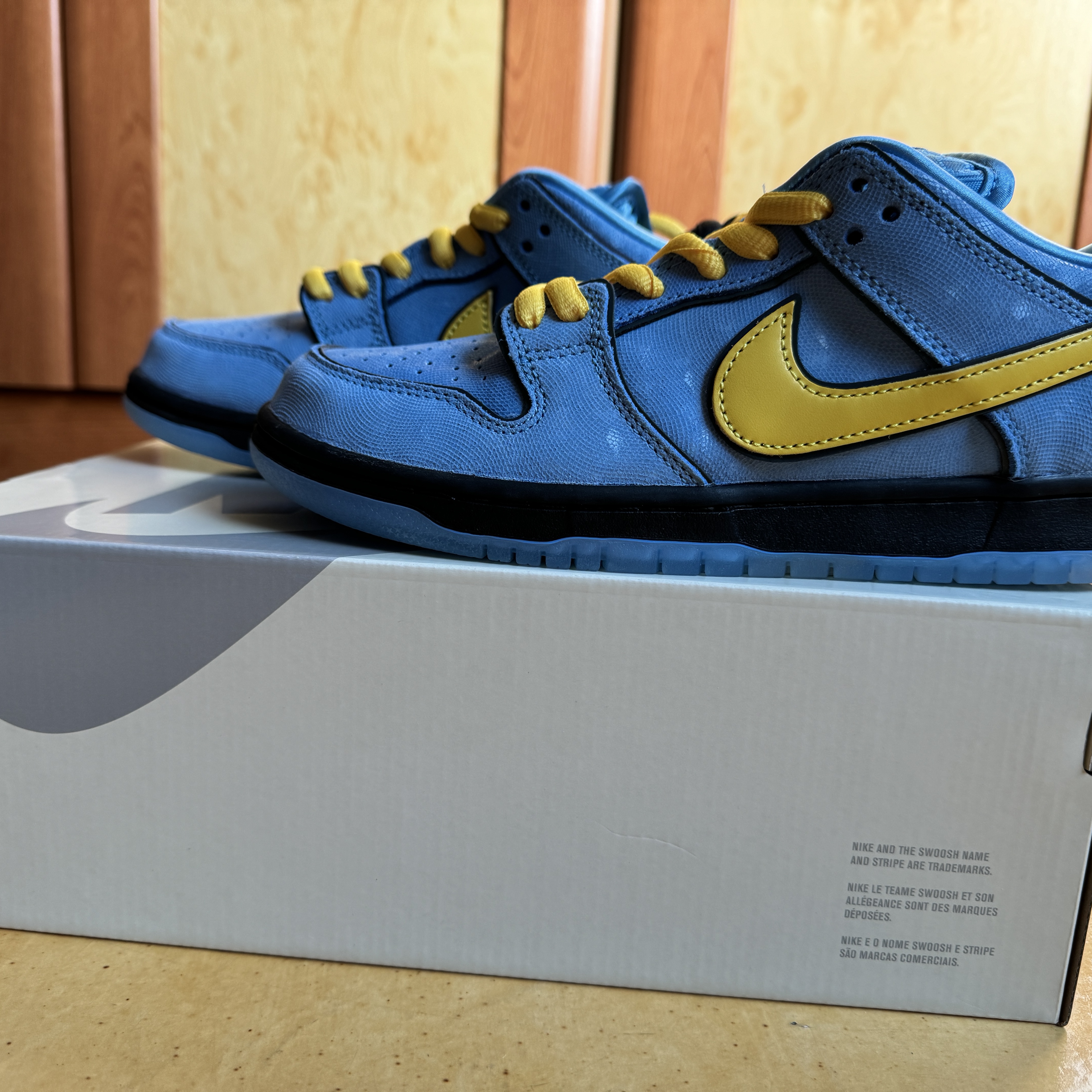 Nike x The Powerpuff Girls SB Dunk Low Pro QS Bubbles 착용 스타일 - 2