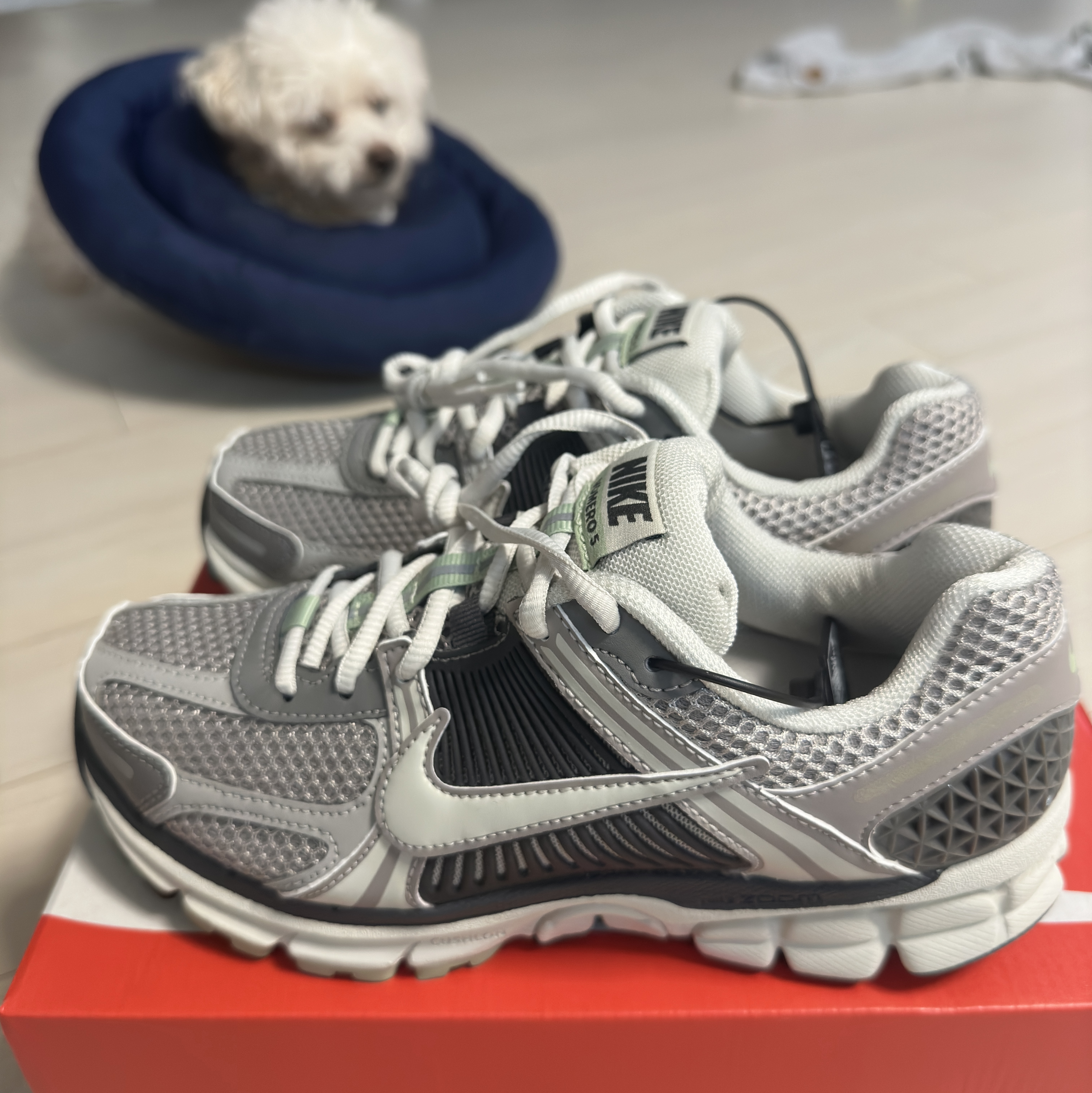(W) Nike Zoom Vomero 5 Cobblestone and Flat Pewter 착용 스타일