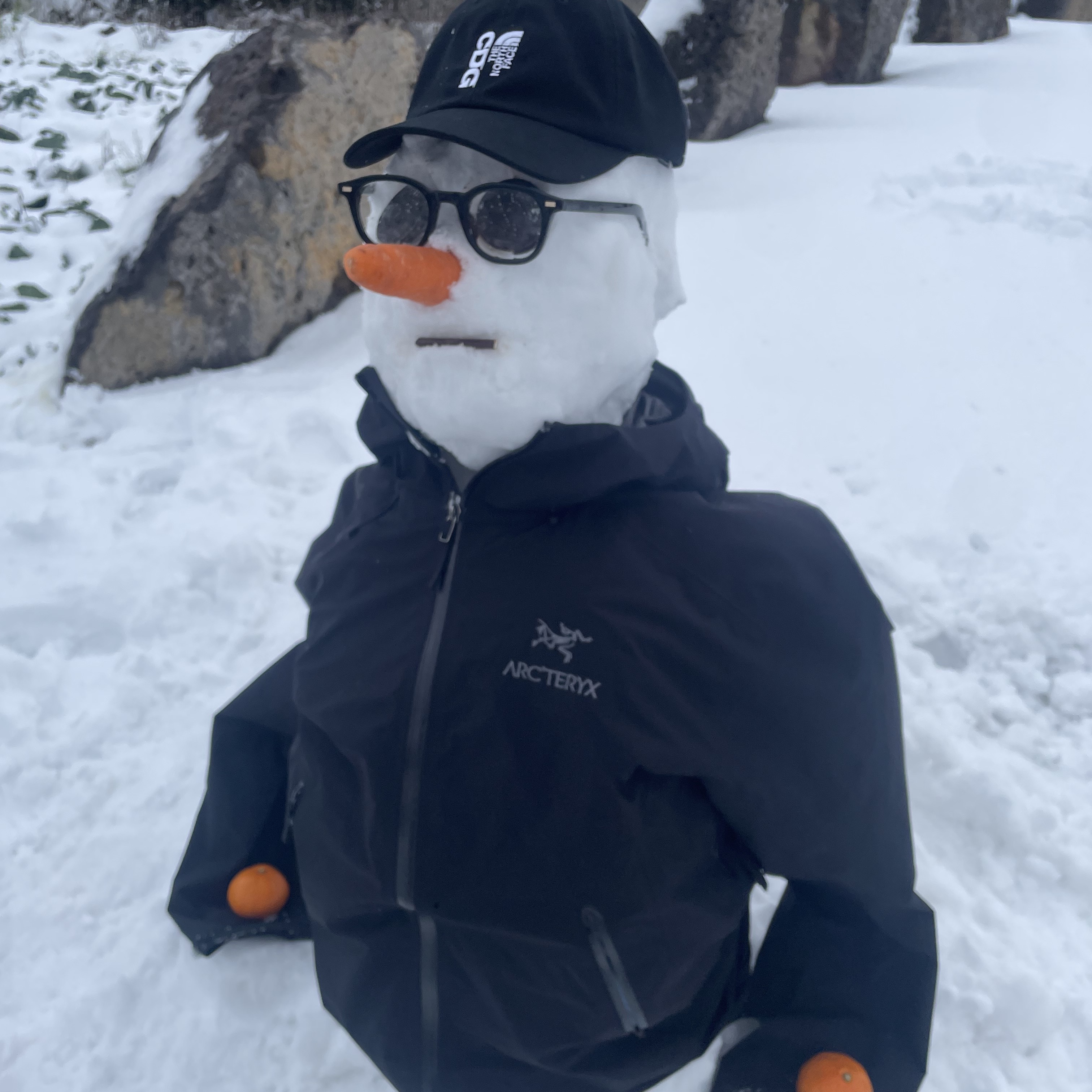 CDG x The North Face Norm Hat Black, Arc'teryx Beta LT Jacket Black 착용 스타일