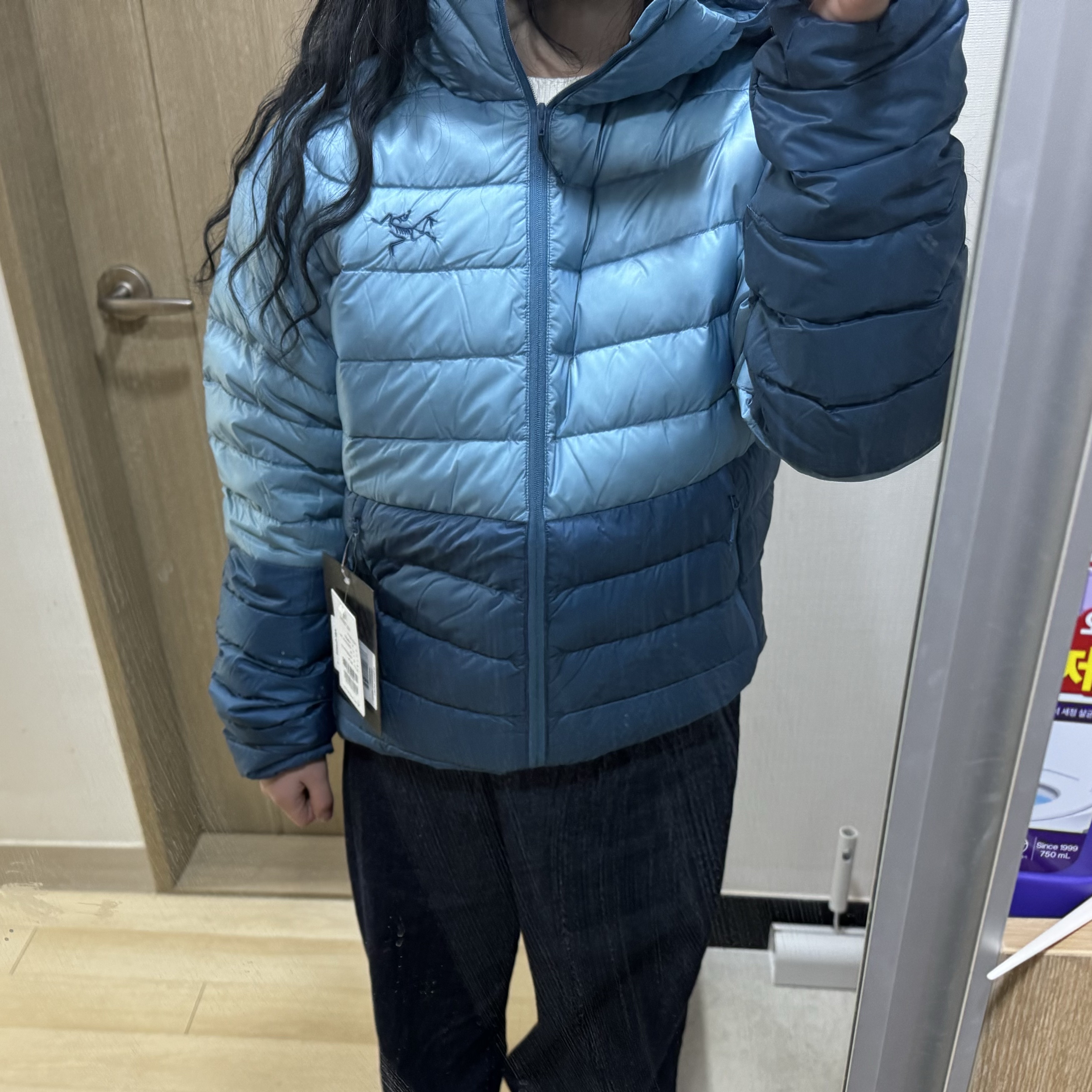 Arc'teryx Cerium Hoody Serene Solace 착용 스타일 - 2