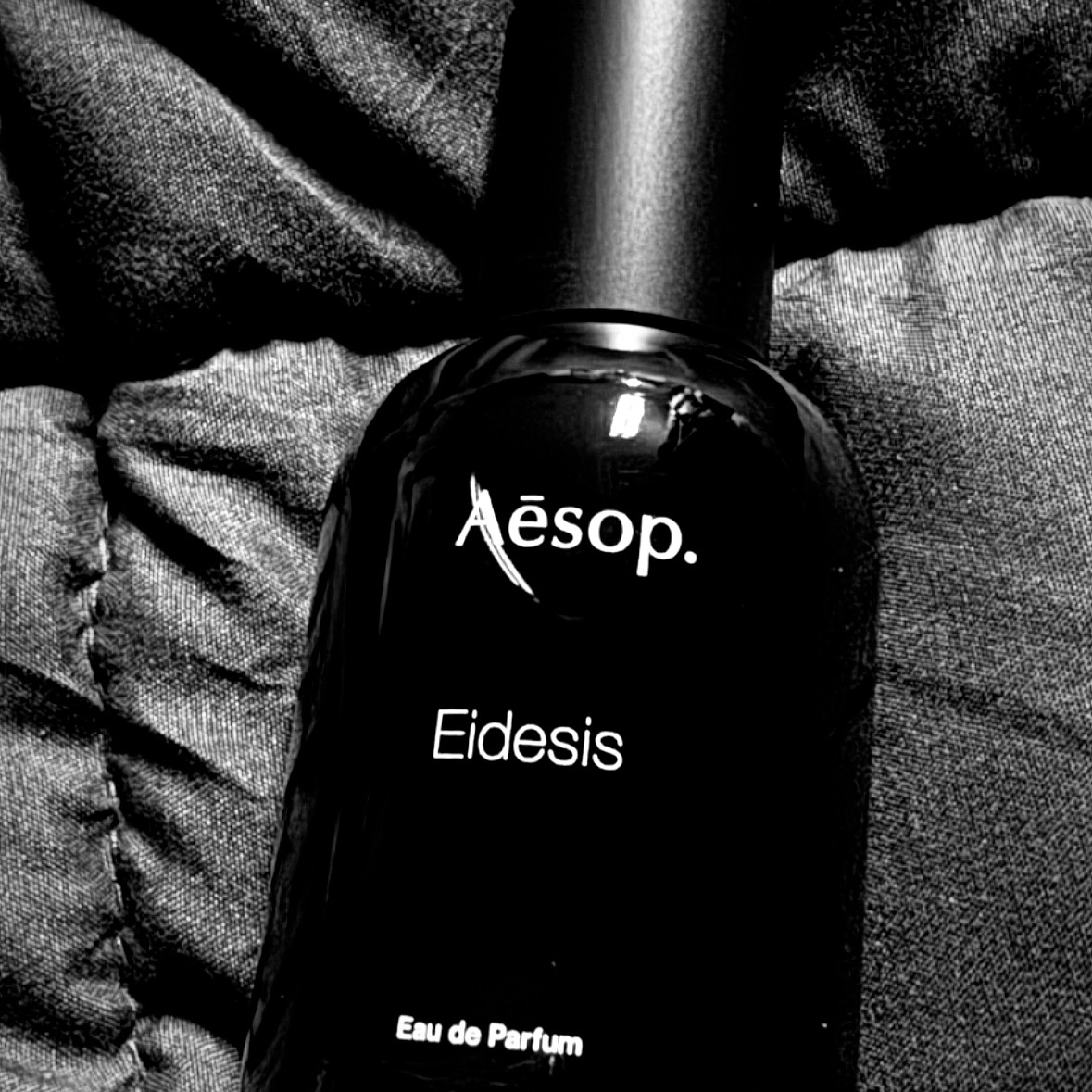 Aesop Eidesis Eau De Parfum 50ml 착용 스타일