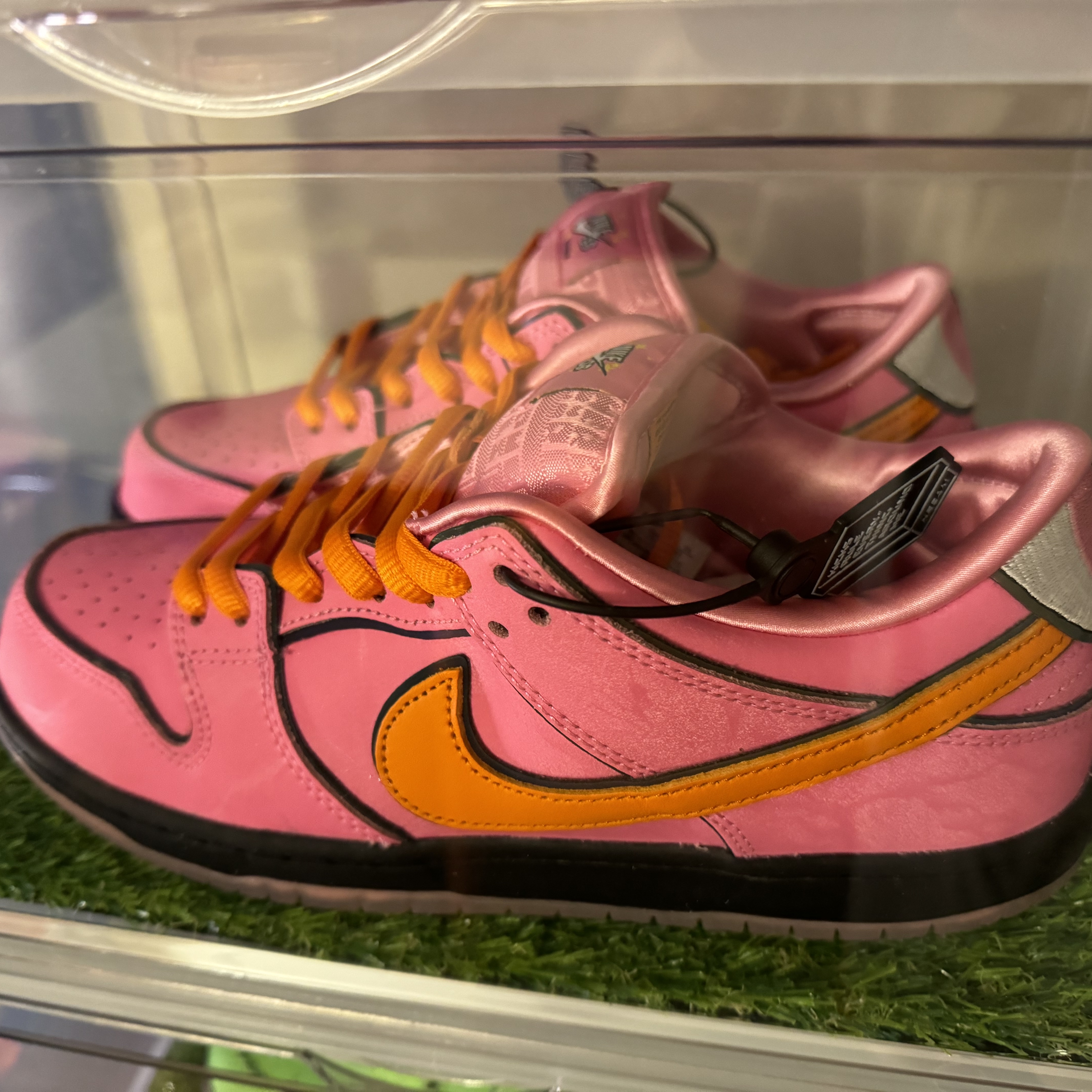 Nike x The Powerpuff Girls SB Dunk Low Pro QS Blossom 착용 스타일