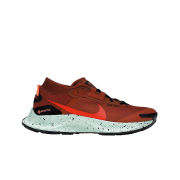 Nike Pegasus Trail 3 Gore-Tex Rugged Orange