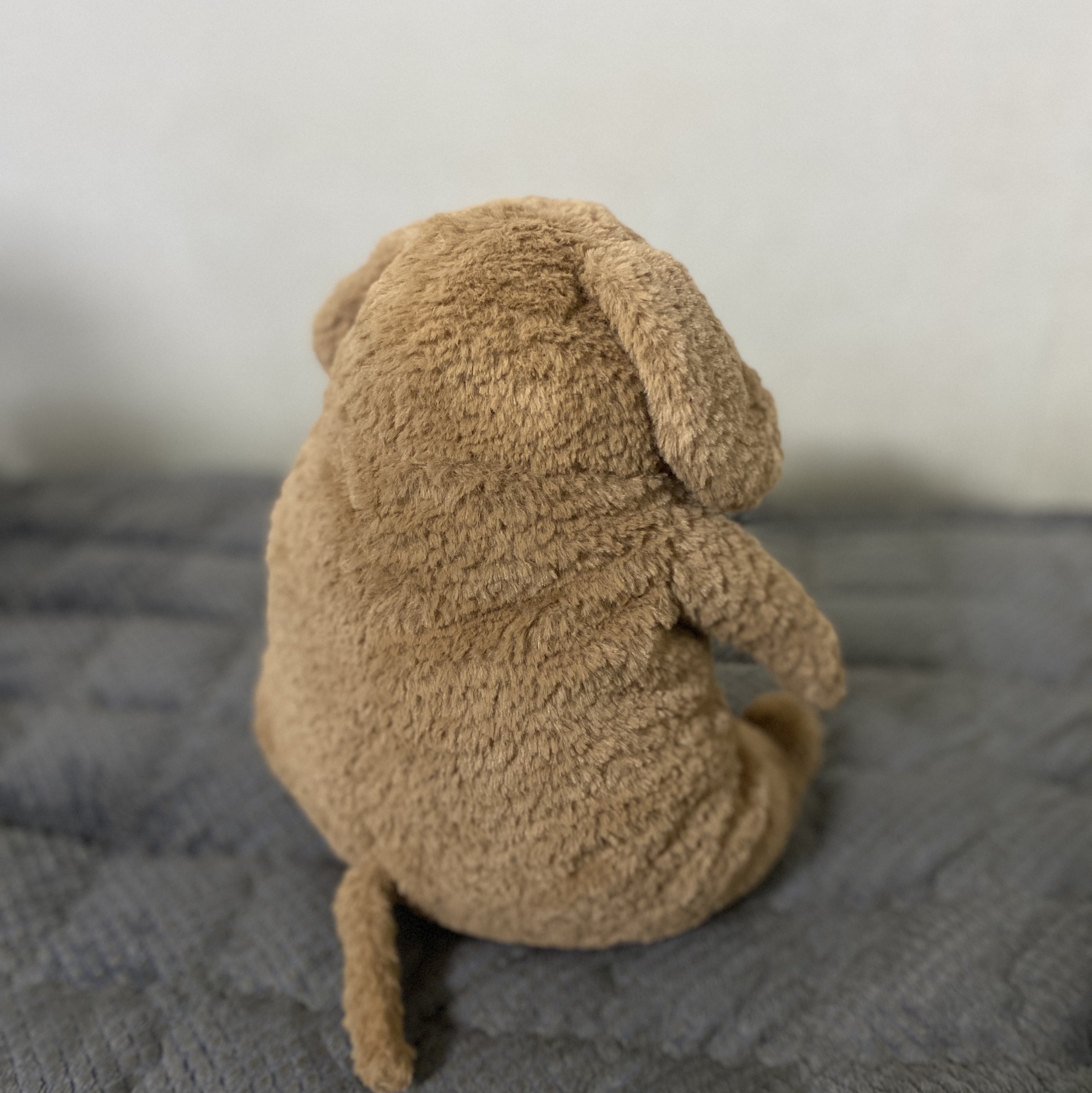 Jellycat Amore Dog Brown 착용 스타일 - 2