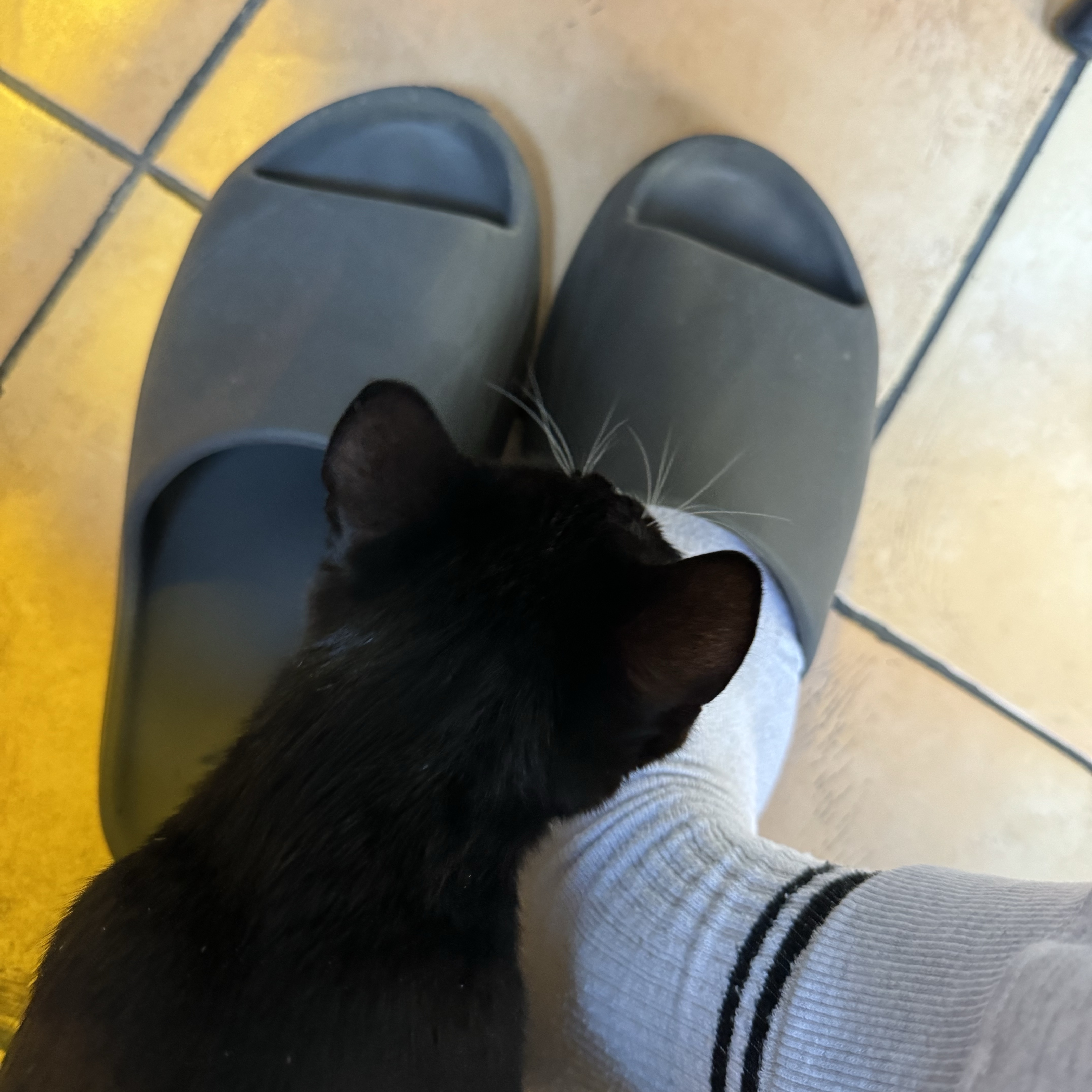Adidas Yeezy Slide Onyx 착용 스타일 - 1