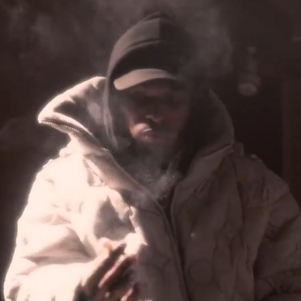 Louis Vuitton Monogram Boyhood Puffer Jacket Grey 착용 스타일