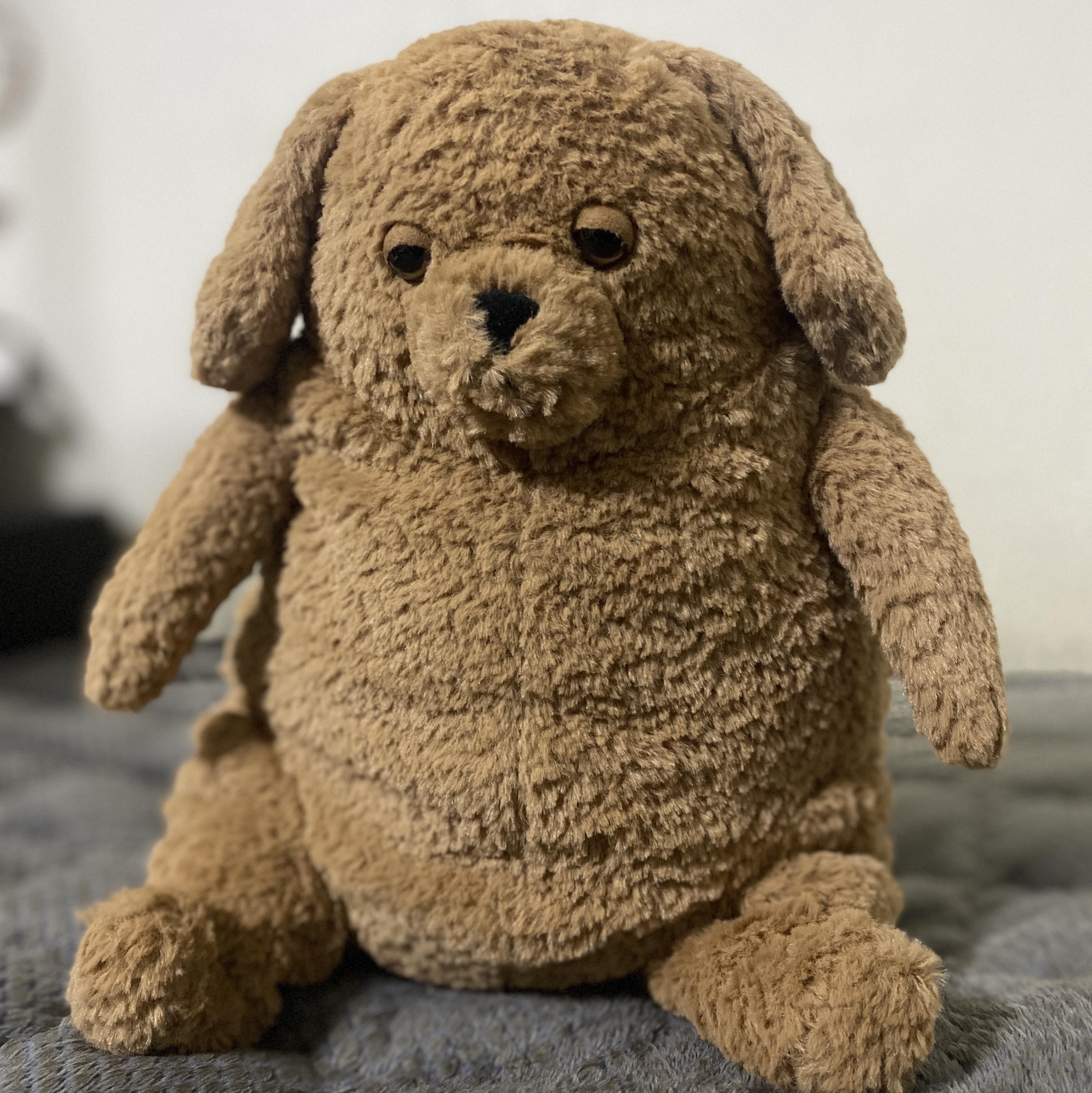 Jellycat Amore Dog Brown 착용 스타일 - 1