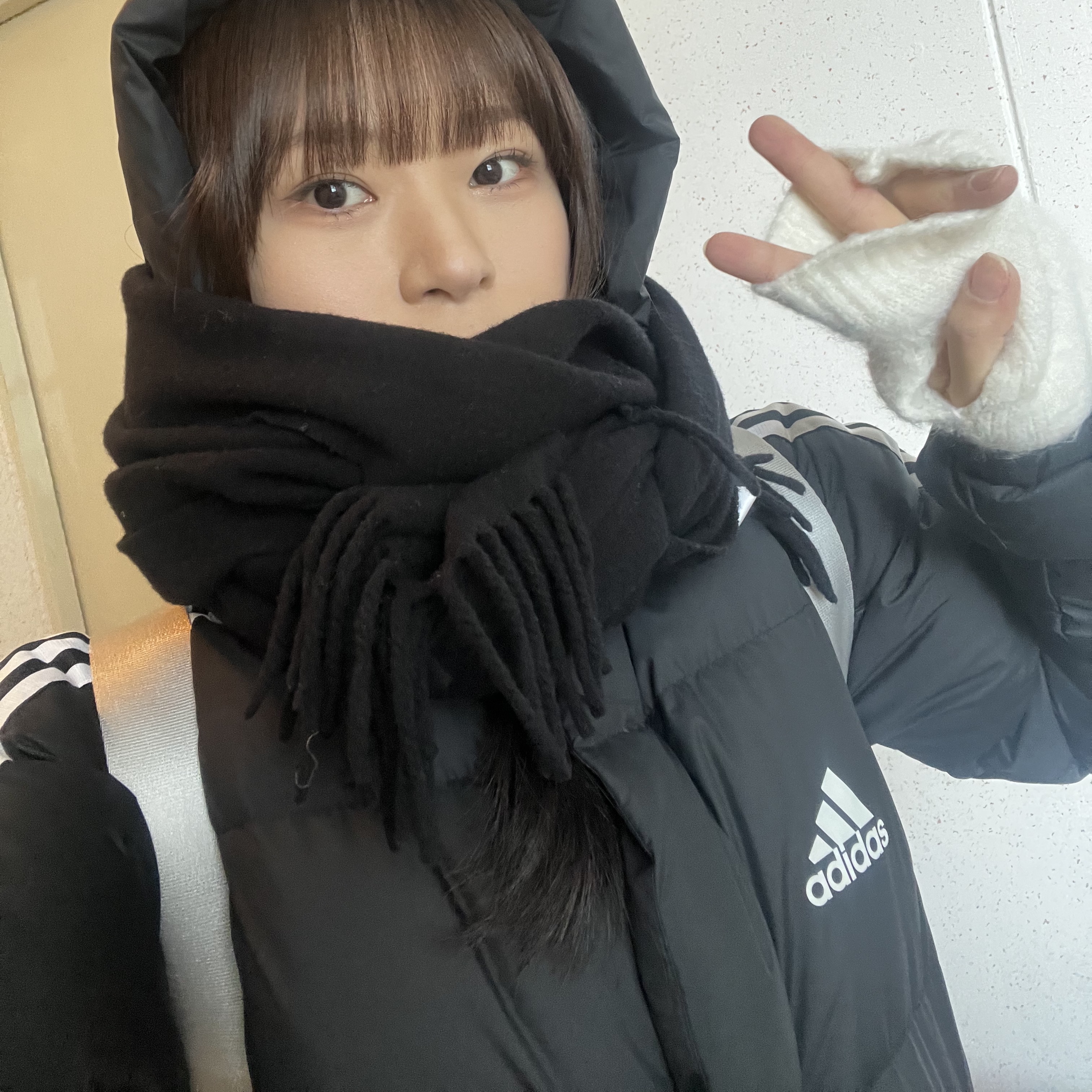 Adidas 3S Long Down Jacket Black - KR sizing, A.P.C. Ambroise Brodee Muffler Black 착용 스타일