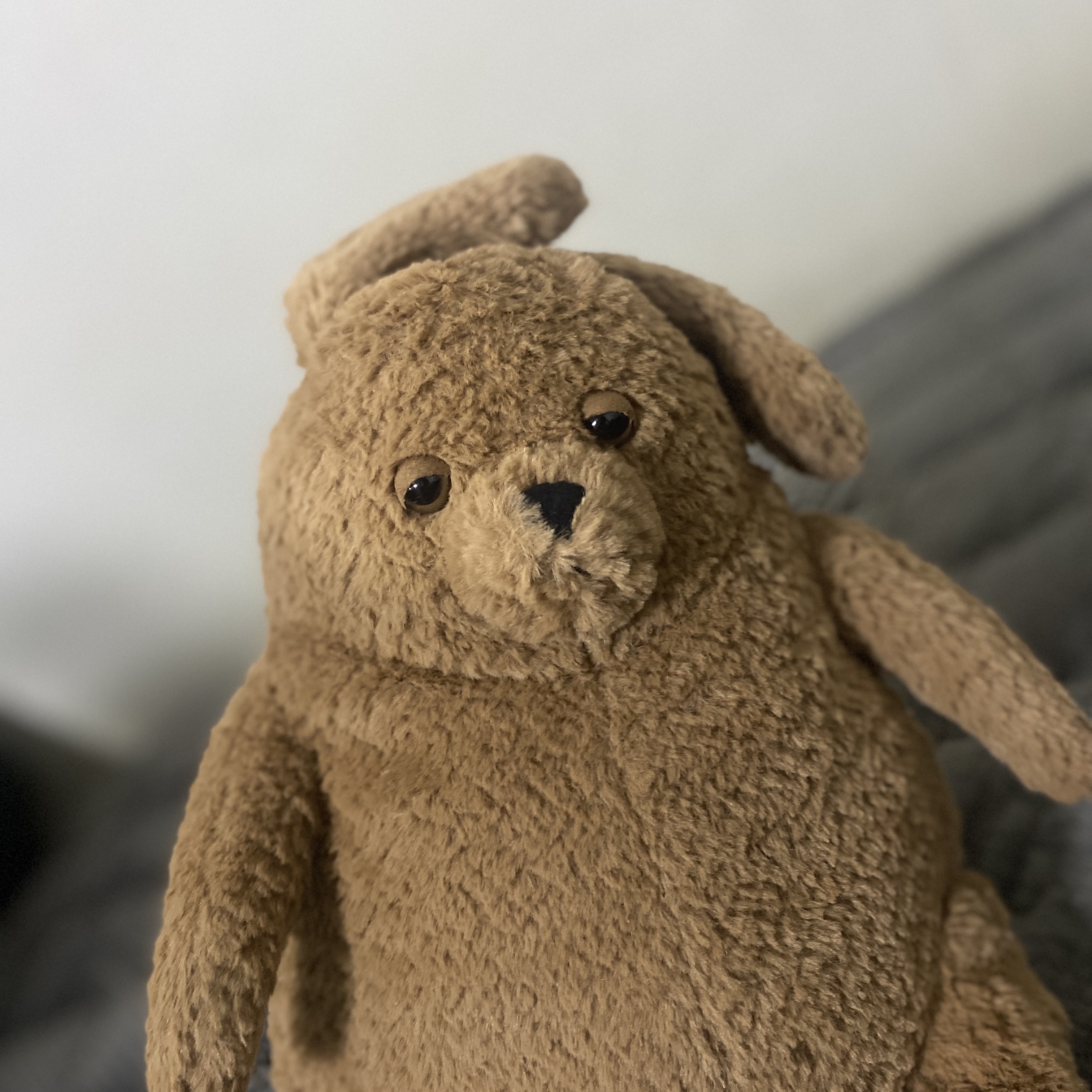 Jellycat Amore Dog Brown 착용 스타일 - 4