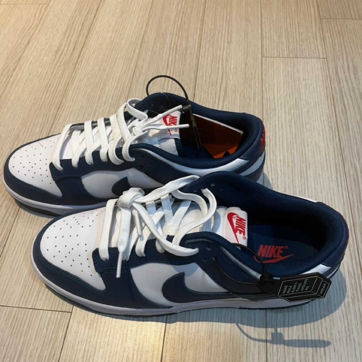 Nike Dunk Low Retro Valerian Blue 착용 스타일