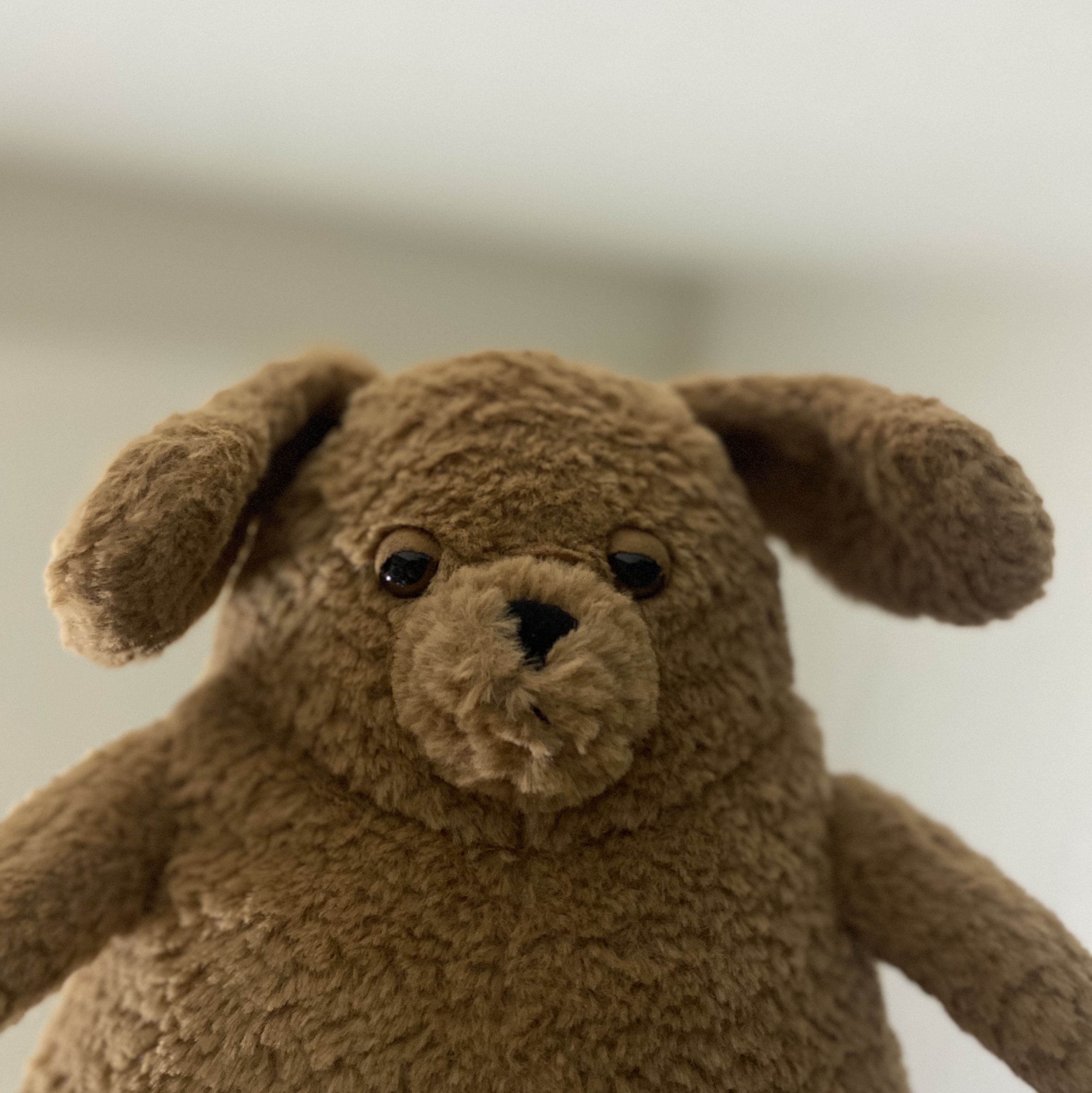 Jellycat Amore Dog Brown 착용 스타일 - 3