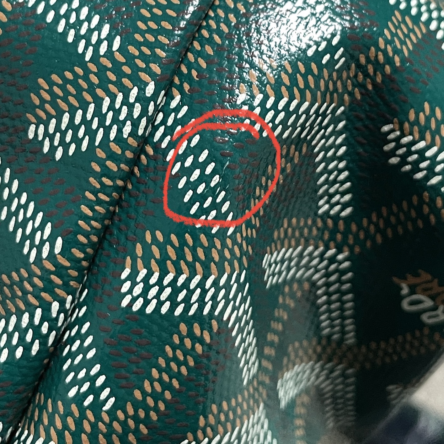 Goyard Boheme Hobo PM Bag Green 착용 스타일 - 2