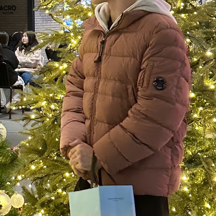 C.P. Company Eco-Chrome R Down Jacket Cedar Wood Pink - 23FW 착용 스타일 - 1
