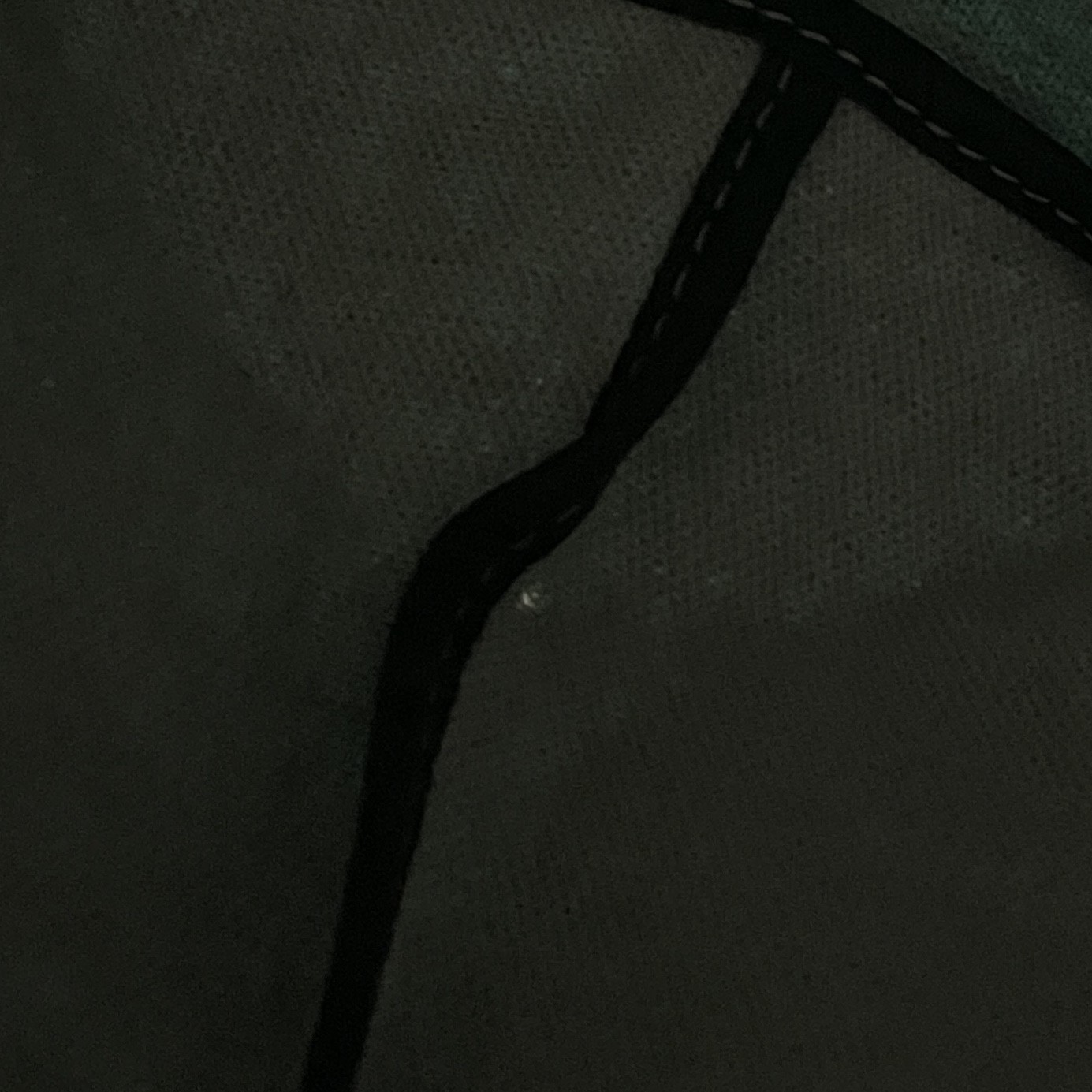 Goyard Boheme Hobo PM Bag Green 착용 스타일 - 4