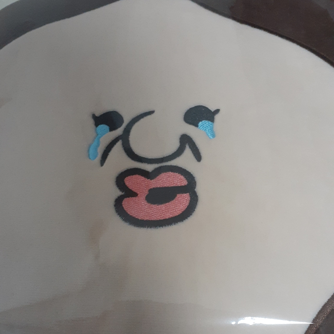 Bbangbbang Okji Cushion 착용 스타일