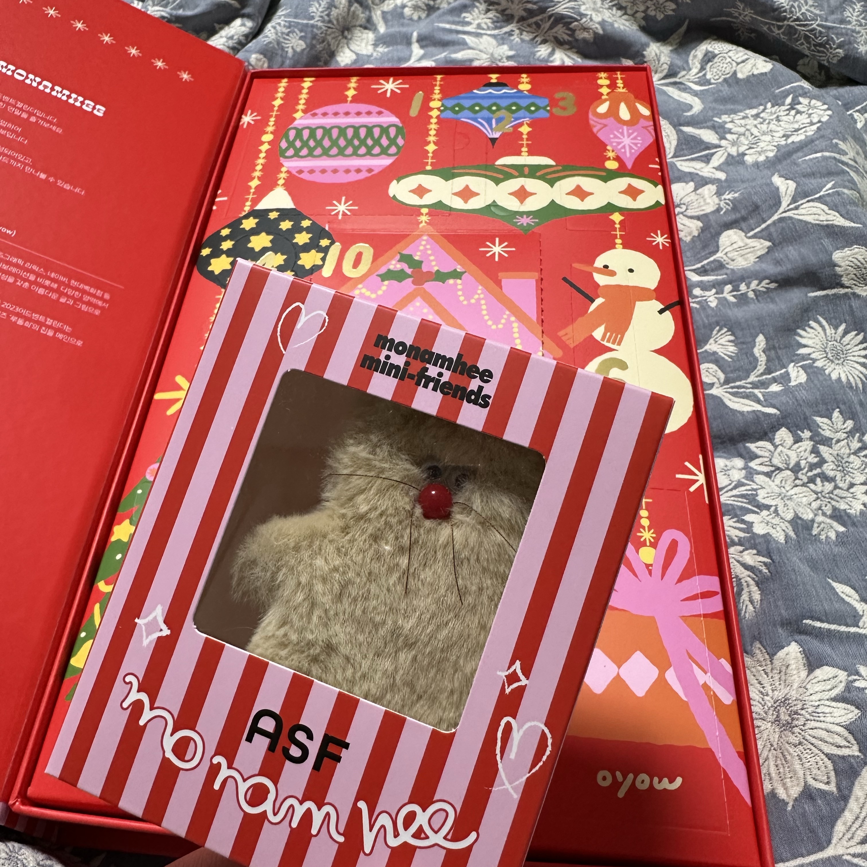 Monamhee x Amore Mall Rudolhee Advent Calendar 2023 Package 착용 스타일