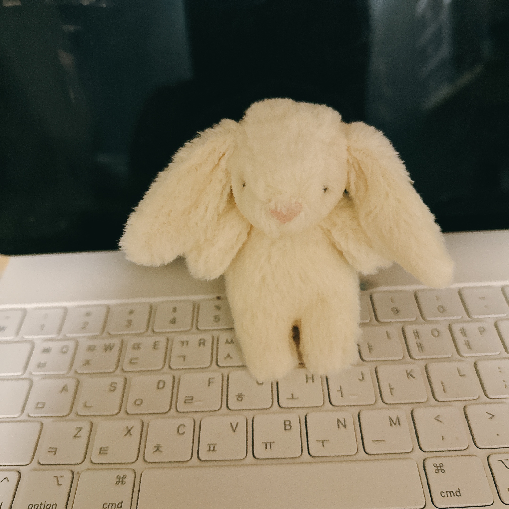Jellycat Bashful Bunny Bag Charm Cream 착용 스타일 - 2