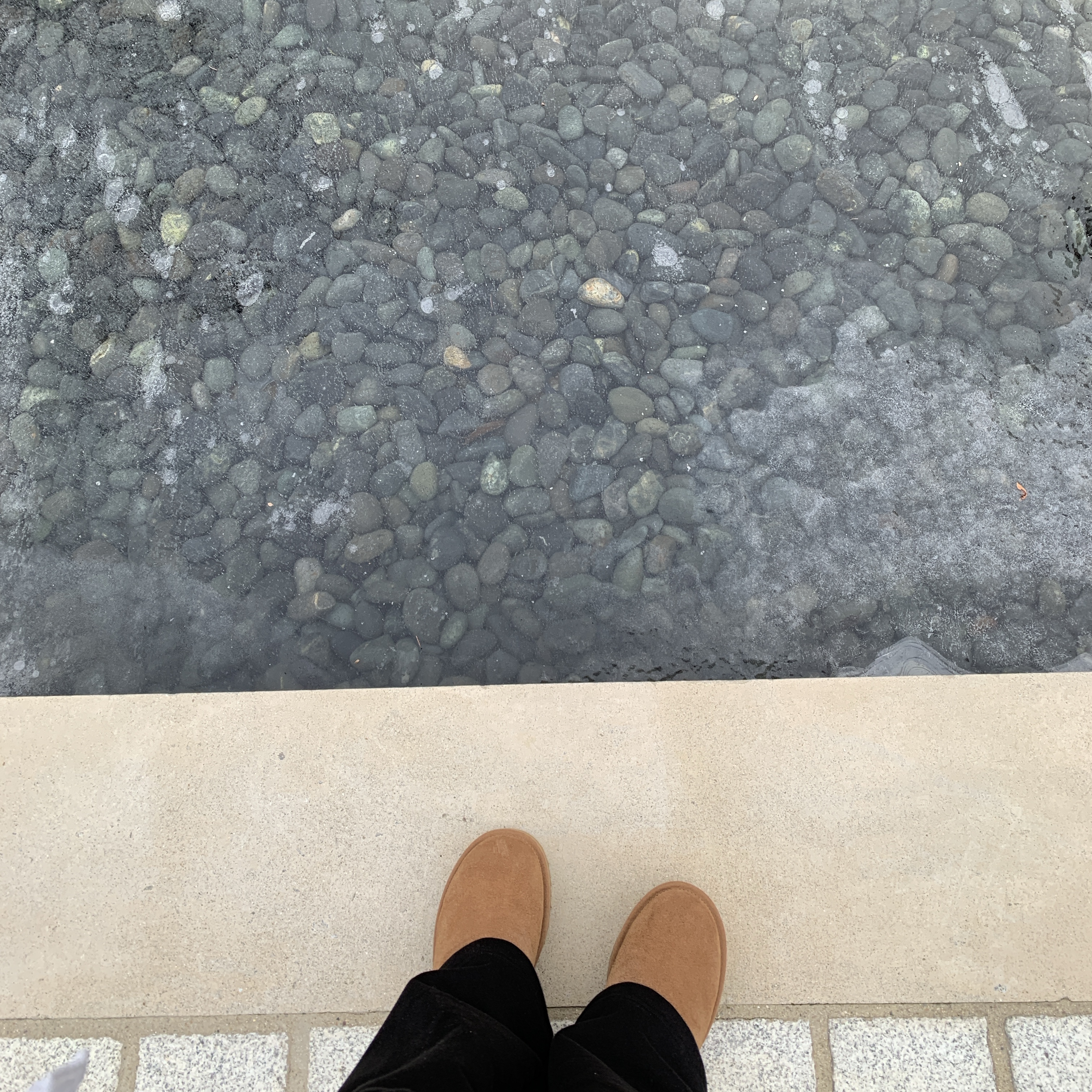 (W) UGG Classic Ultra Mini Platform Boots Chestnut 착용 스타일