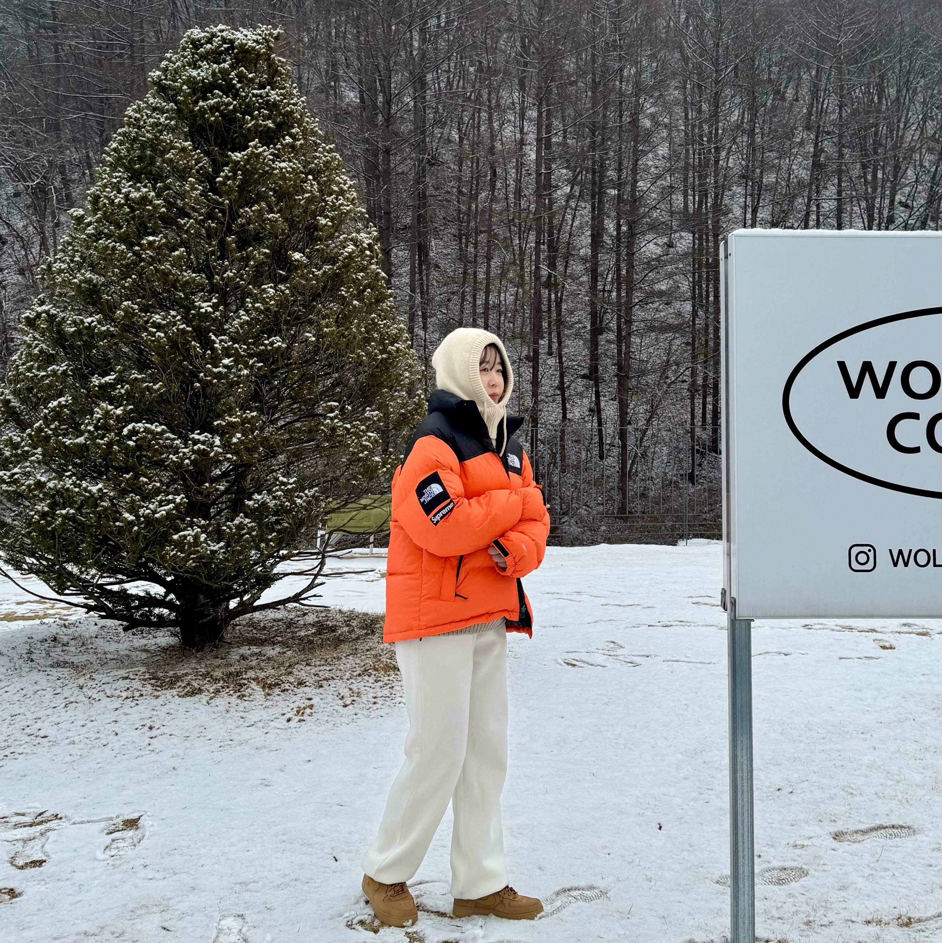 Supreme x The North Face Nuptse Orange - 16FW, Nike Air Force 1 '07 WB Flax 착용 스타일
